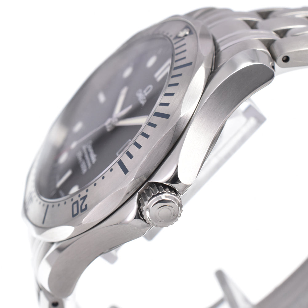 Omega Seamaster 300M Quartz Stainless Steel Watch (Pre-Owned)