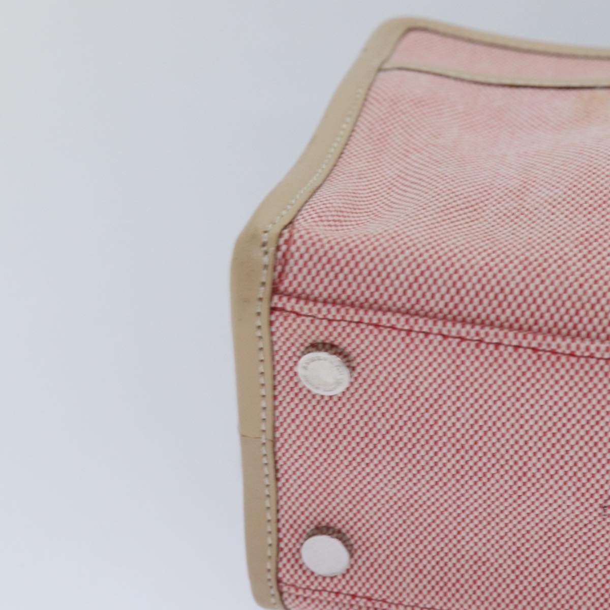 Burberry Blue Label Canvas Pink Canvas Handbag (Pre-Owned)