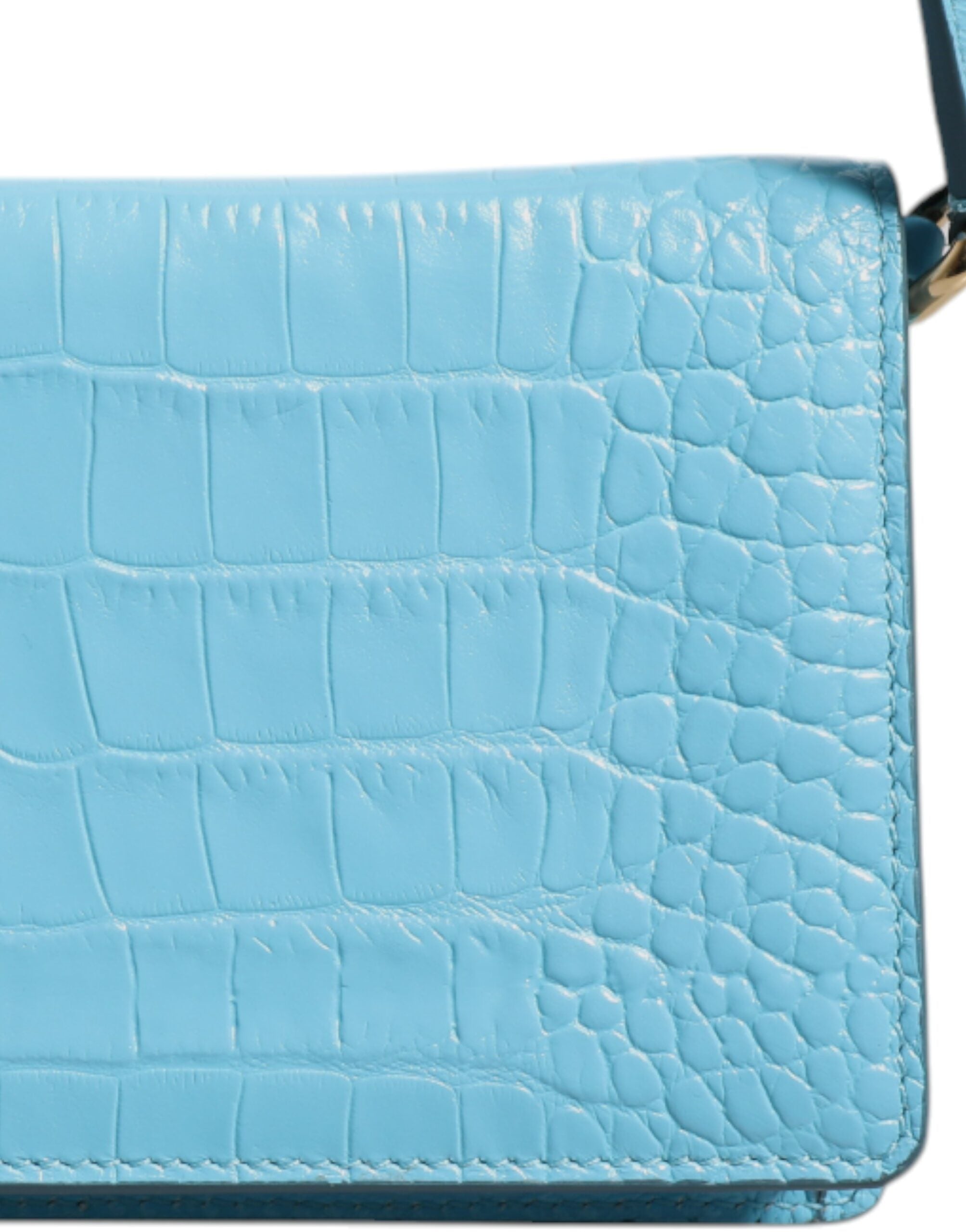 Dolce & Gabbana Blue Branded Maxi Plate Leather Crossbody Phone Women's Bag (Pre-Owned)