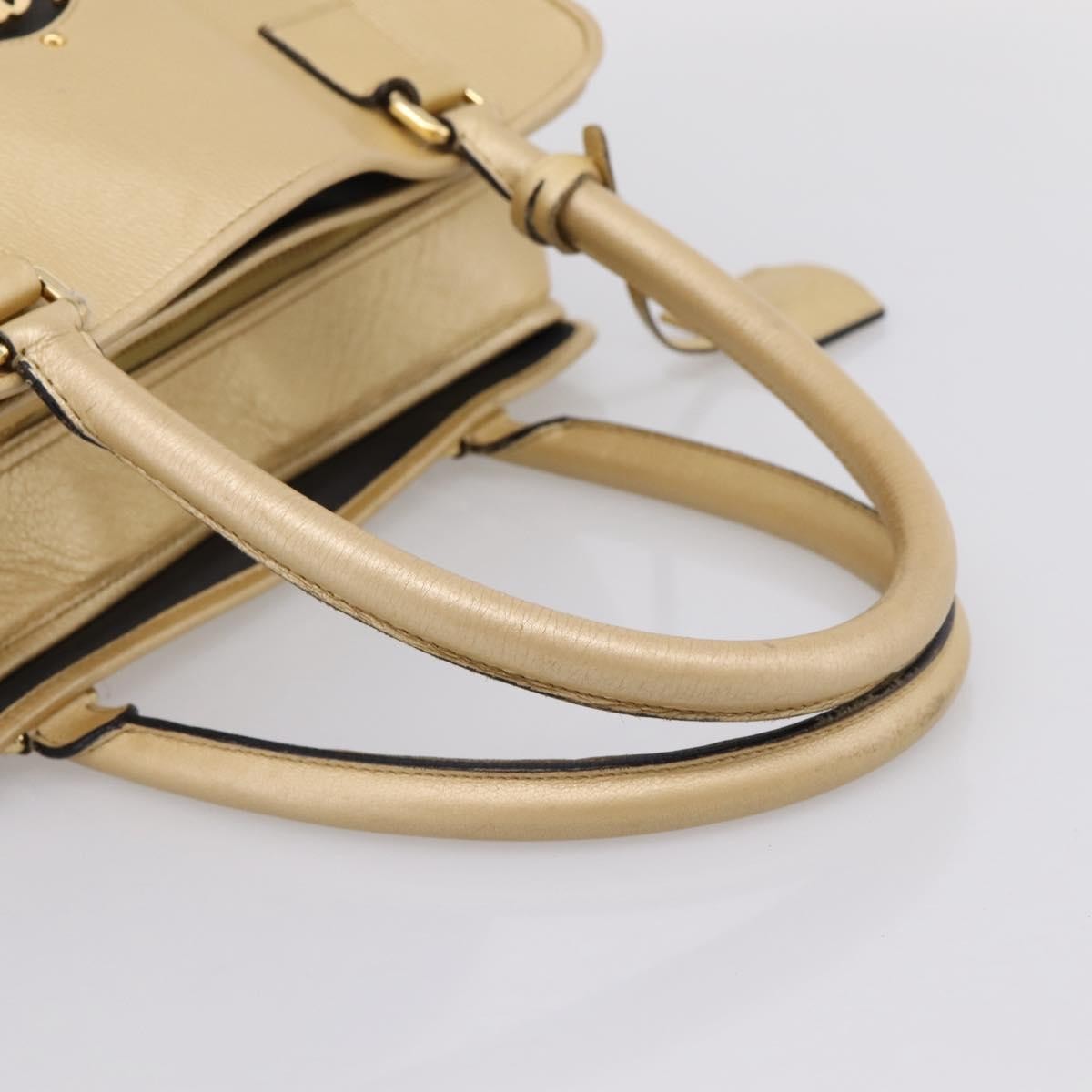 Loewe Amazona Leather Gold Leather Handbag (Pre-Owned)