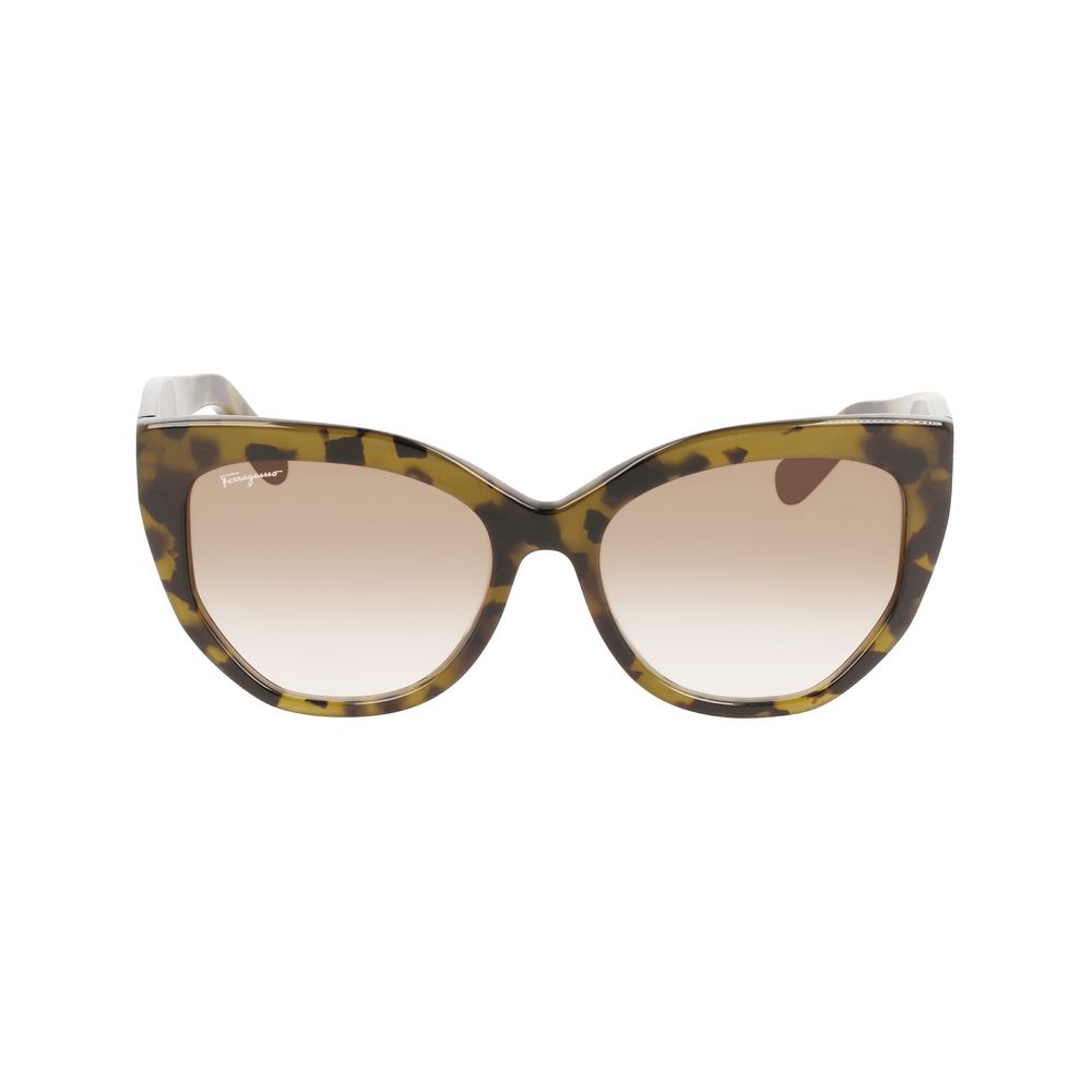 Ferragamo Brown Acetate Women's Sunglasses