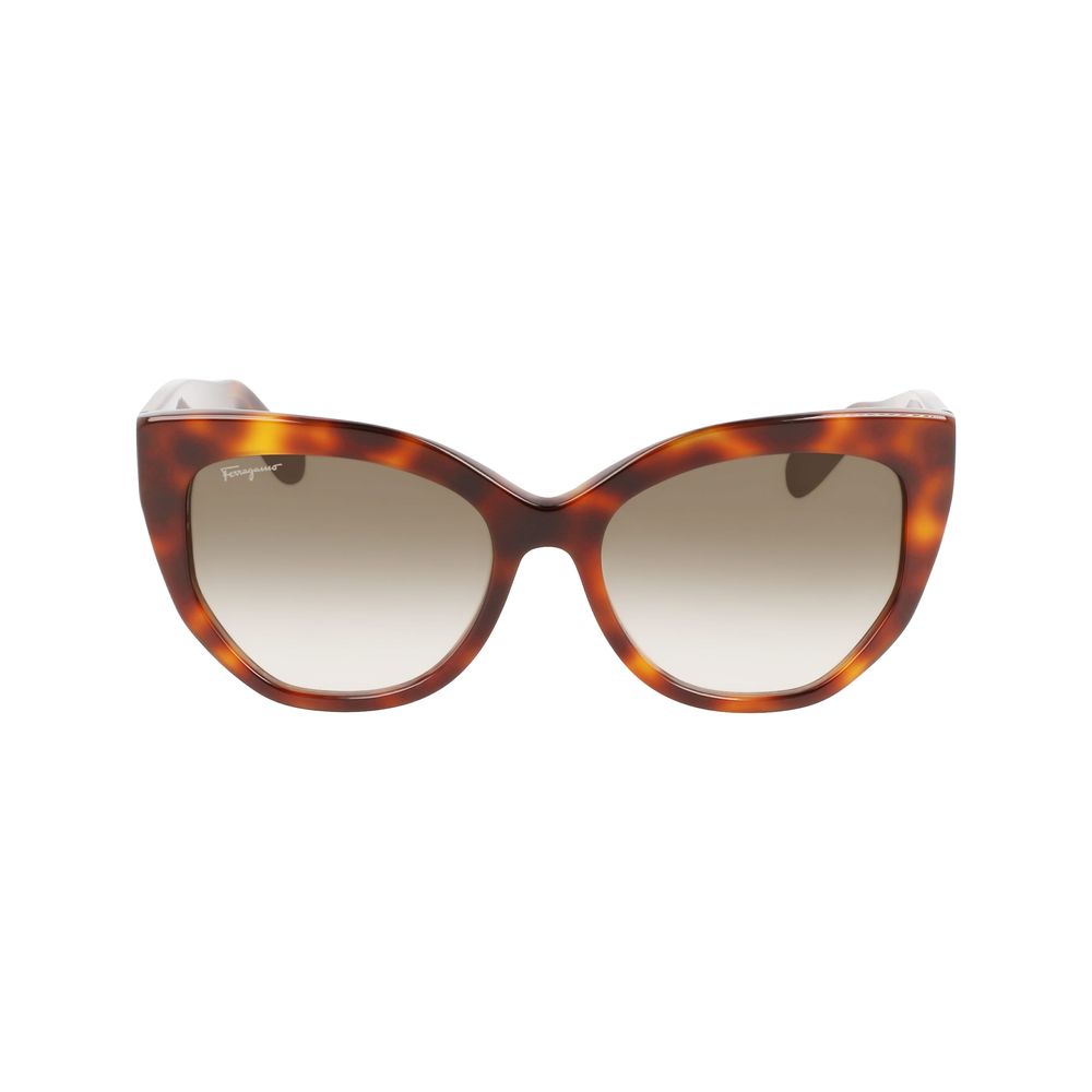 Ferragamo Brown Acetate Women's Sunglasses