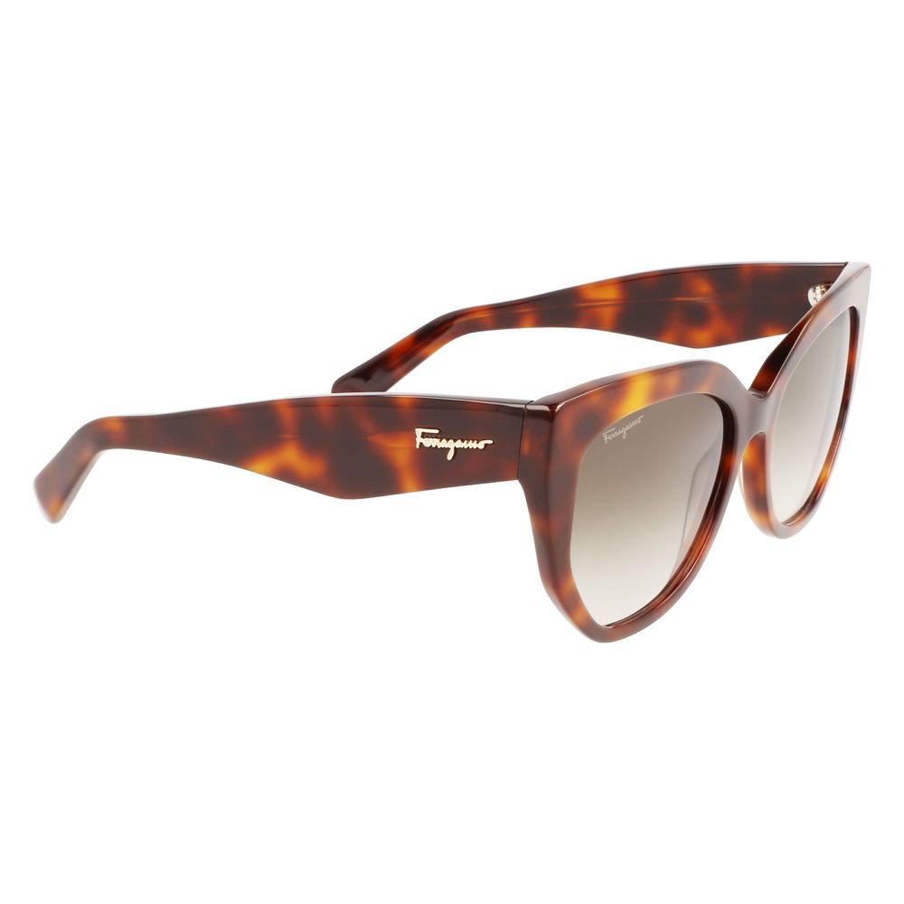 Ferragamo Brown Acetate Women's Sunglasses