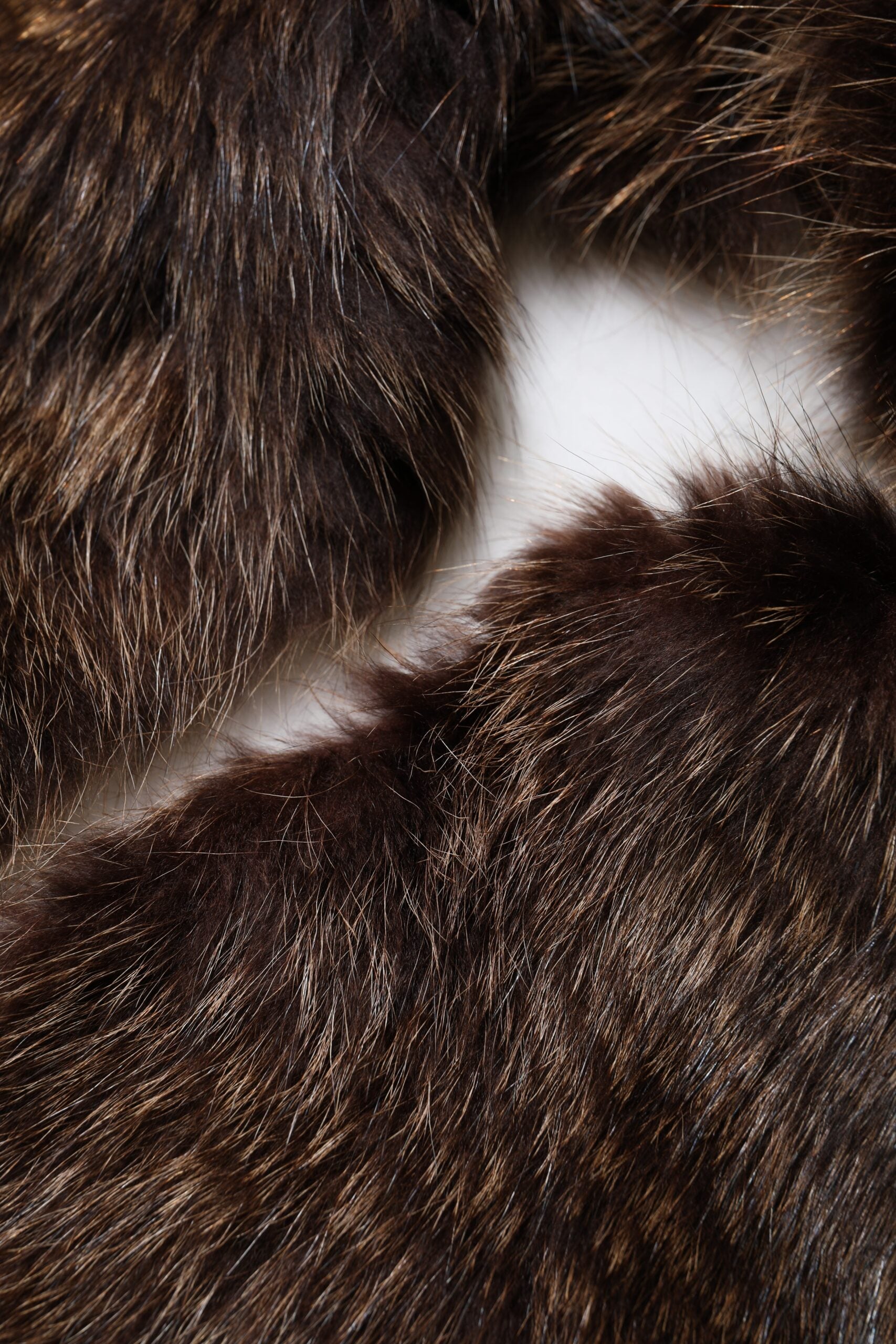 Dolce & Gabbana Brown Raccoon Fur Neck Warmer Winter Women's Scarf