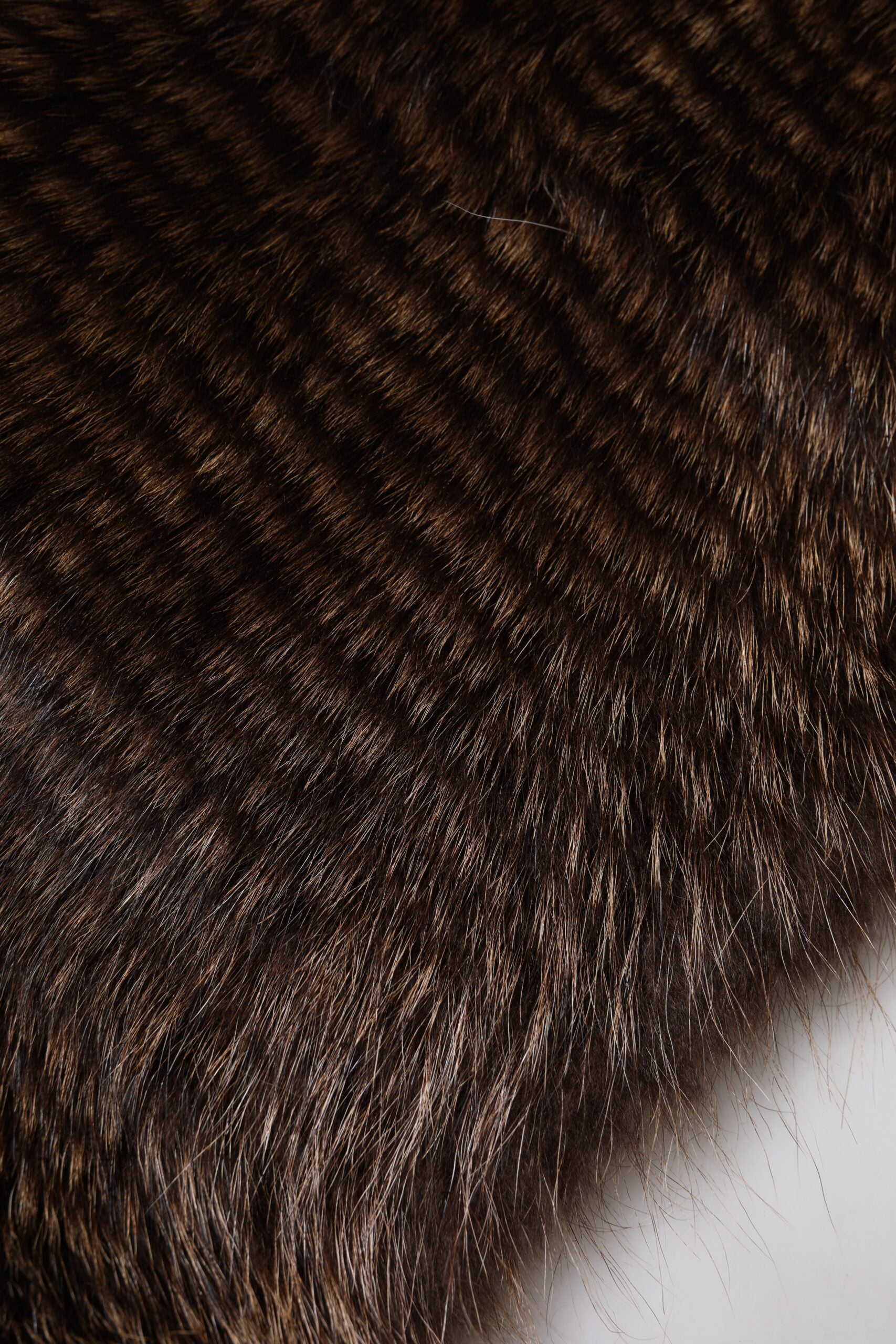 Dolce & Gabbana Brown Raccoon Fur Neck Warmer Winter Women's Scarf