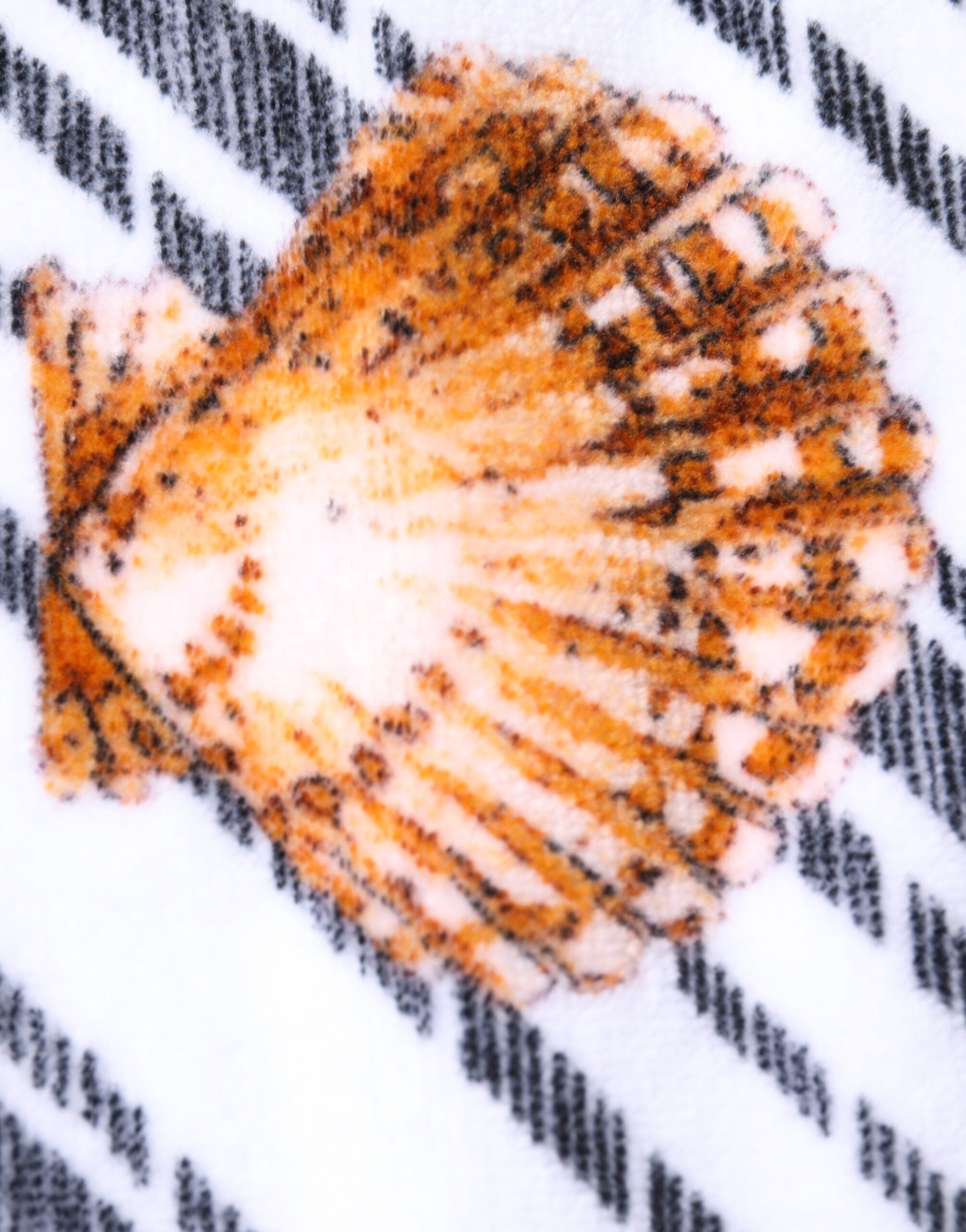 Dolce & Gabbana Multicolor Stripes Seashells Beach Women's Towel