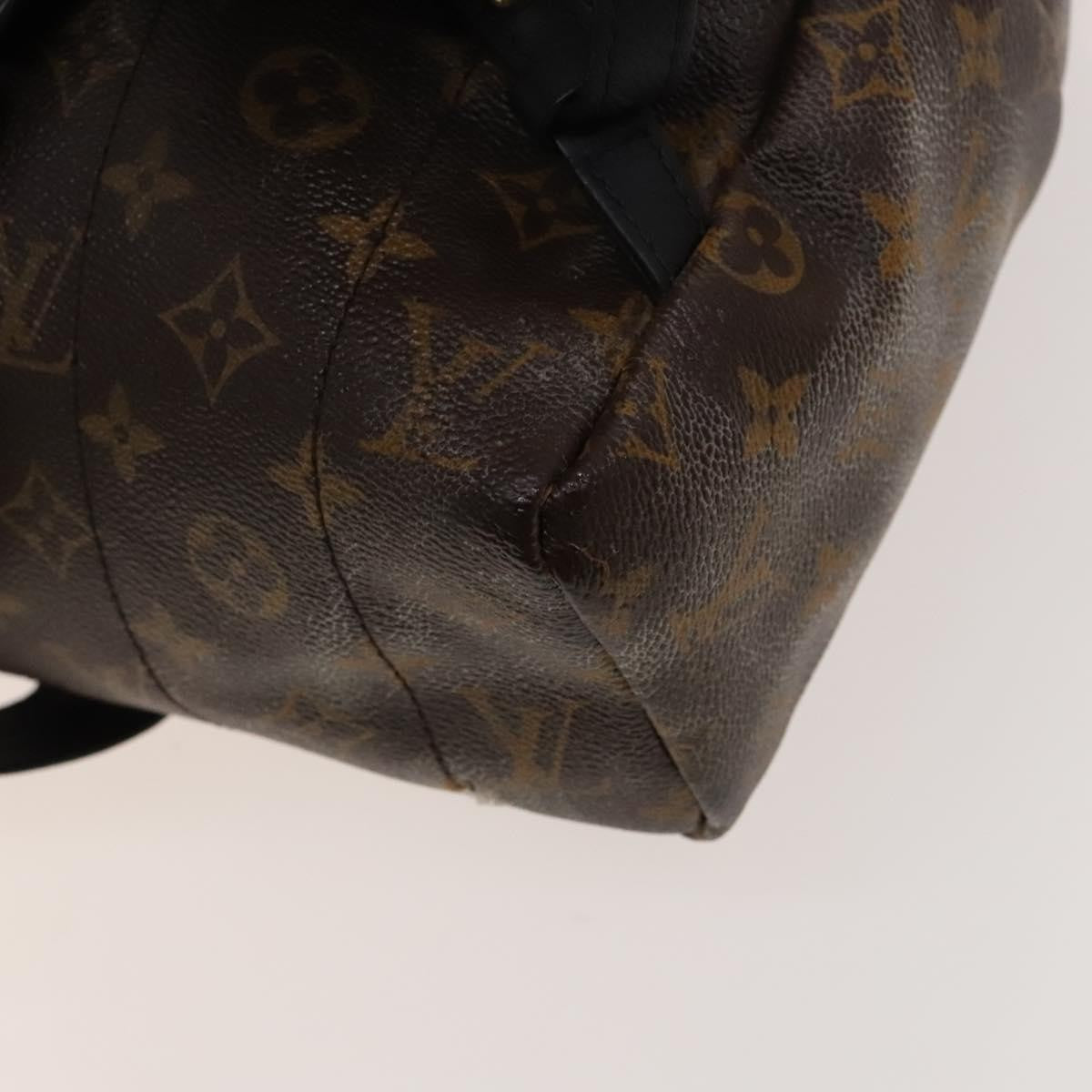 Louis Vuitton Palm Springs Monogram Canvas Brown Canvas Backpack Bag (Pre-Owned)