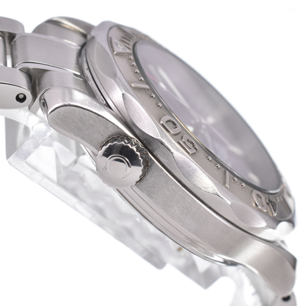 Omega Seamaster Professional Diver 300M Chronometer Automatic Stainless Steel Watch (Pre-Owned)