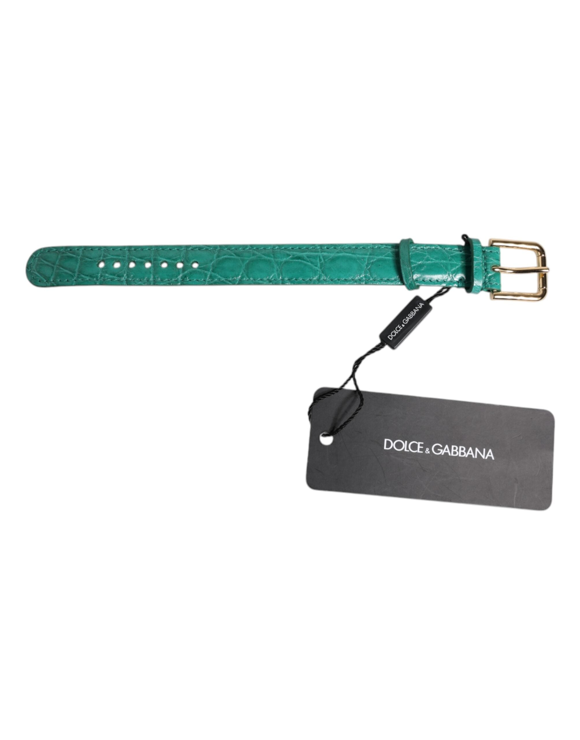 Dolce & Gabbana Green Exotic Leather Gold Tone Metal Buckle Women's Armband (Pre-Owned)