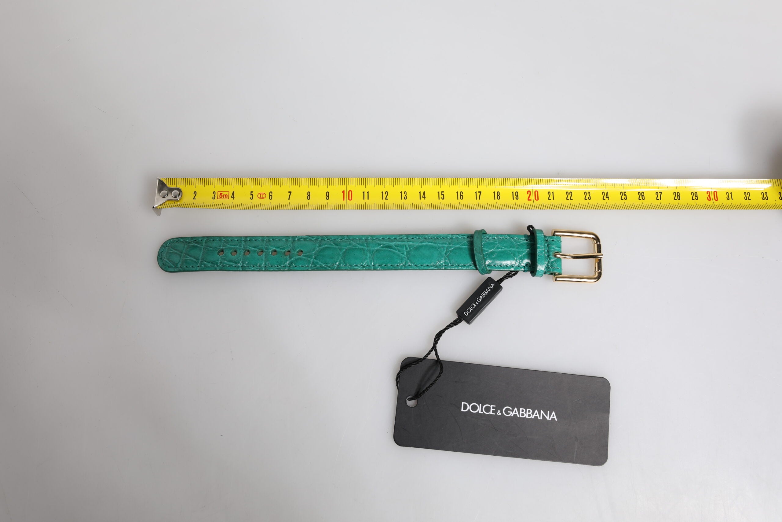 Dolce & Gabbana Green Exotic Leather Gold Tone Metal Buckle Women's Armband (Pre-Owned)