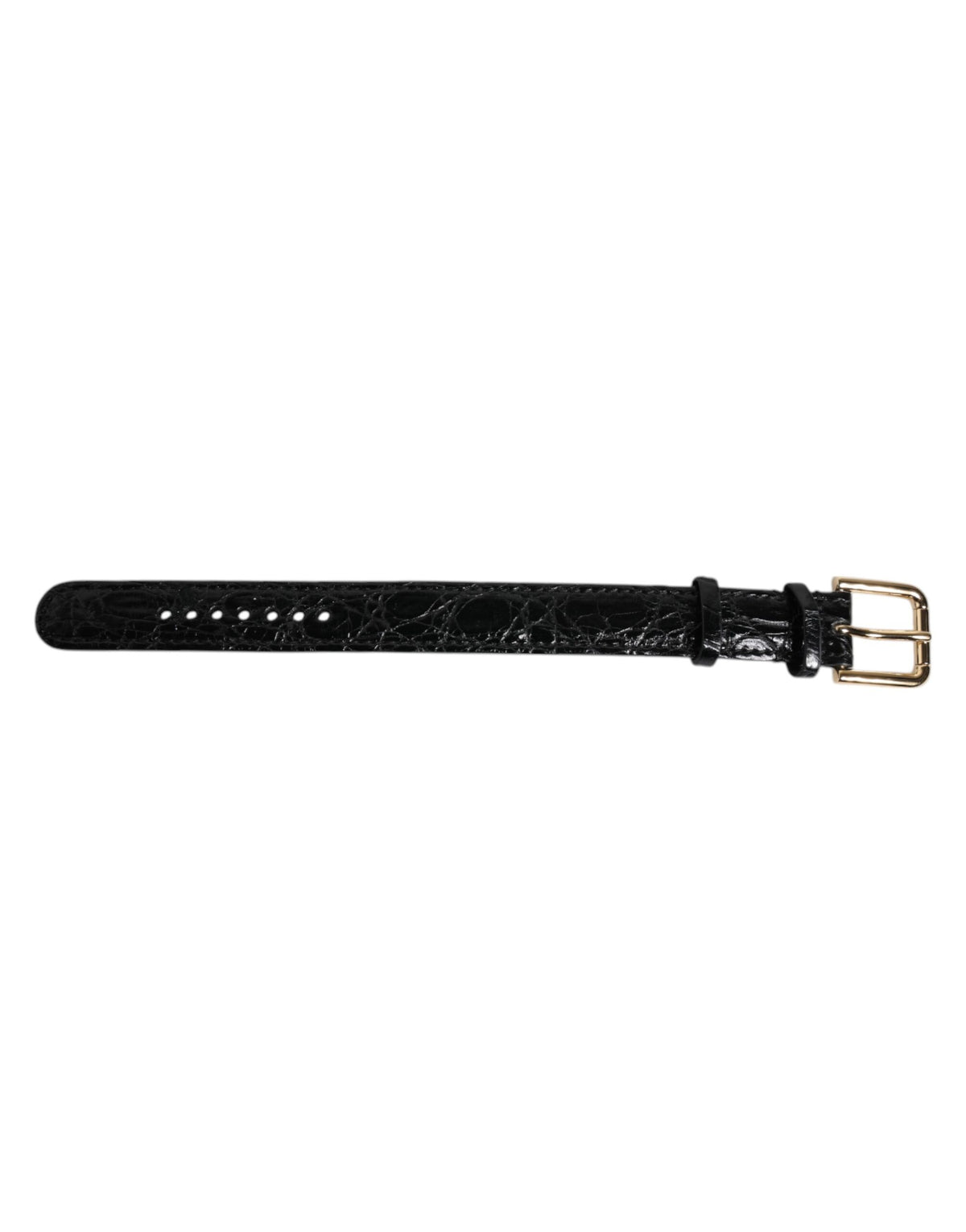 Dolce & Gabbana Black Exotic Leather Gold Tone Metal Buckle Women's Armband (Pre-Owned)