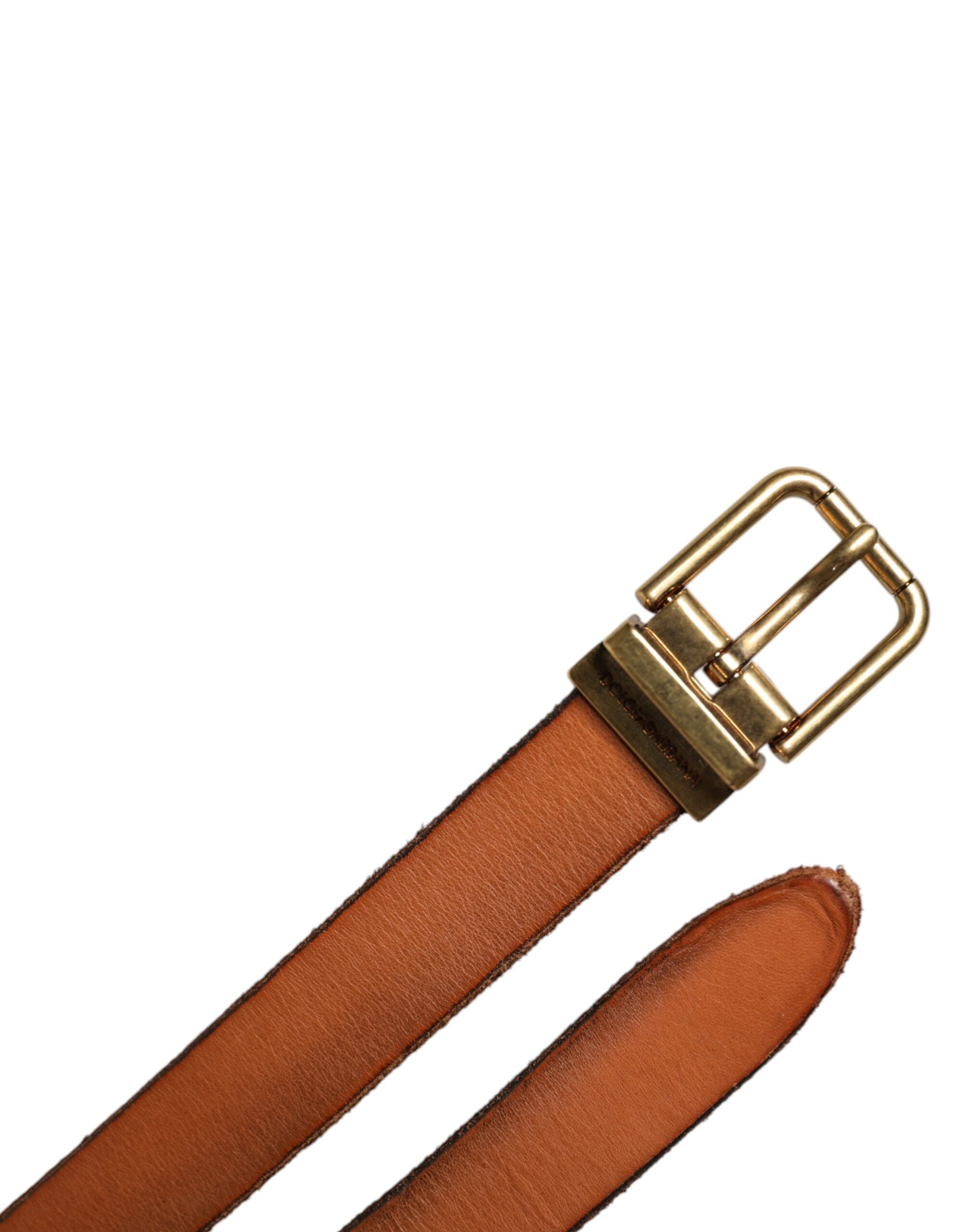 Dolce & Gabbana Brown Leather Gold Tone Metal Buckle Men's Belt (Pre-Owned)