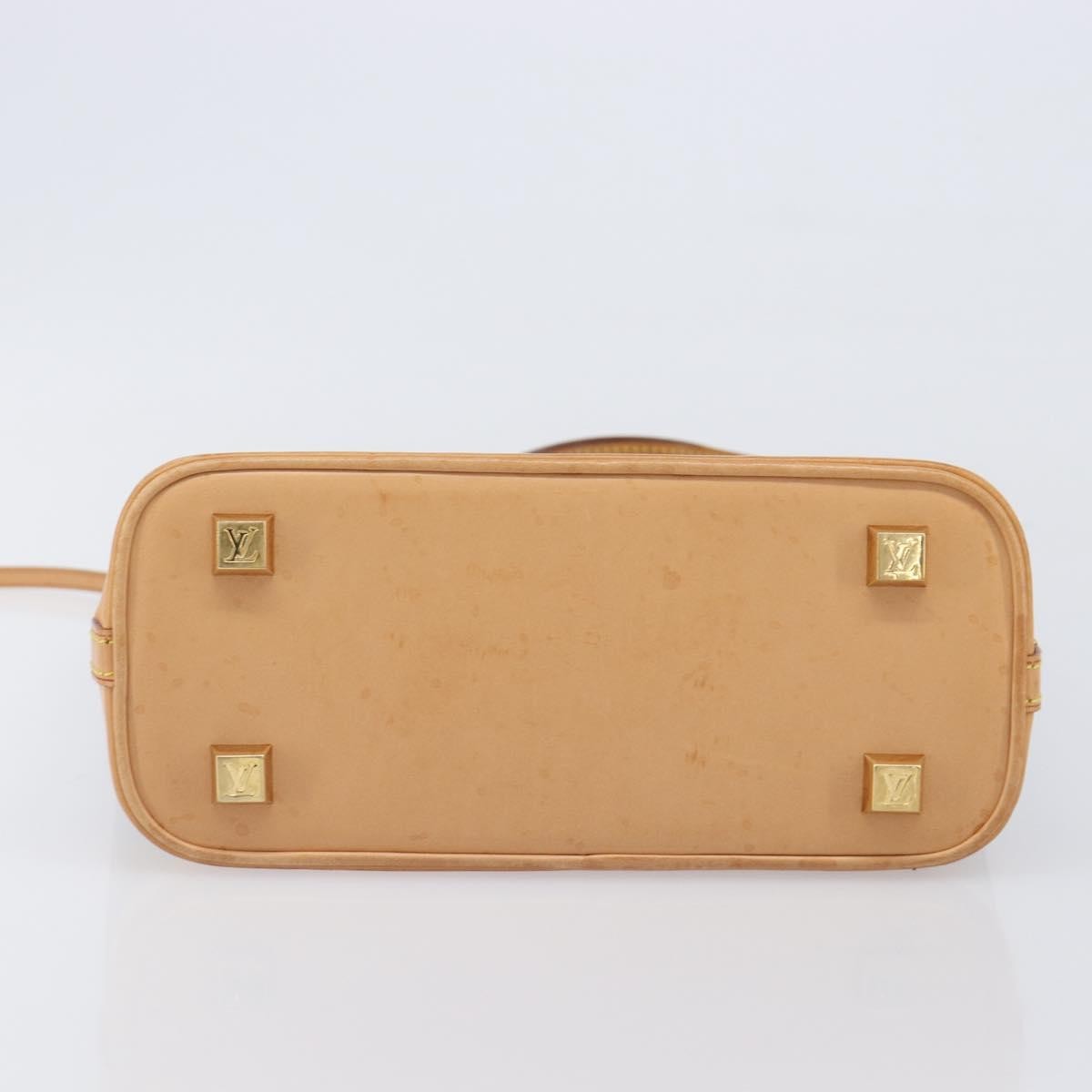 Louis Vuitton Sac Ambre Monogram Vinyl Brown Plastic Handbag (Pre-Owned)