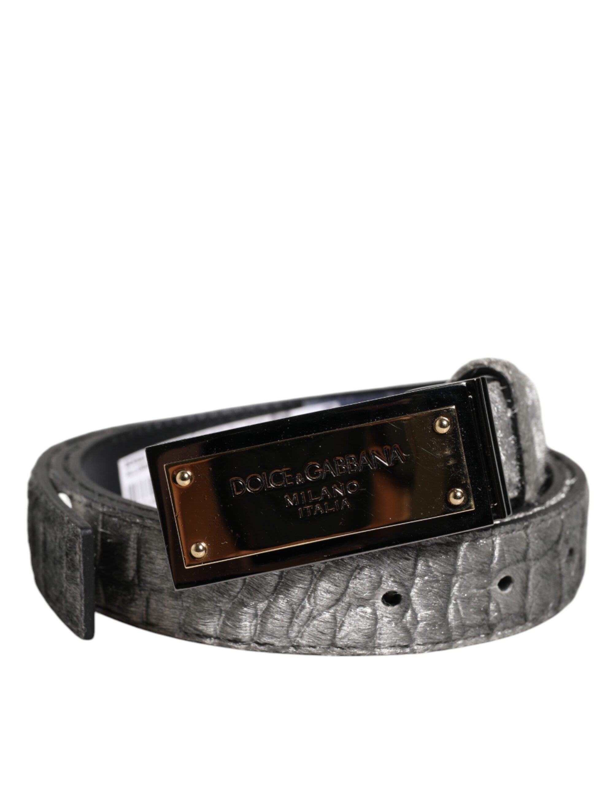 Dolce & Gabbana Silver Classic Gold Logo Plaque Buckle Men's Belt (Pre-Owned)