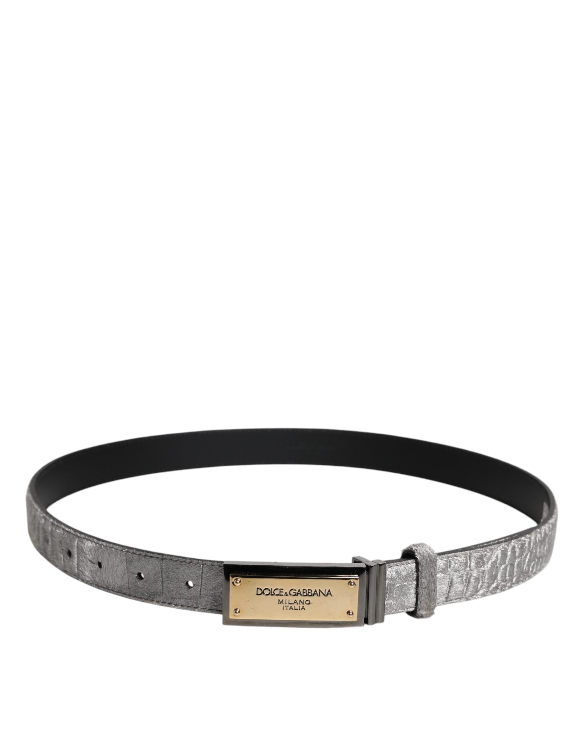 Dolce & Gabbana Silver Classic Gold Logo Plaque Buckle Men's Belt (Pre-Owned)