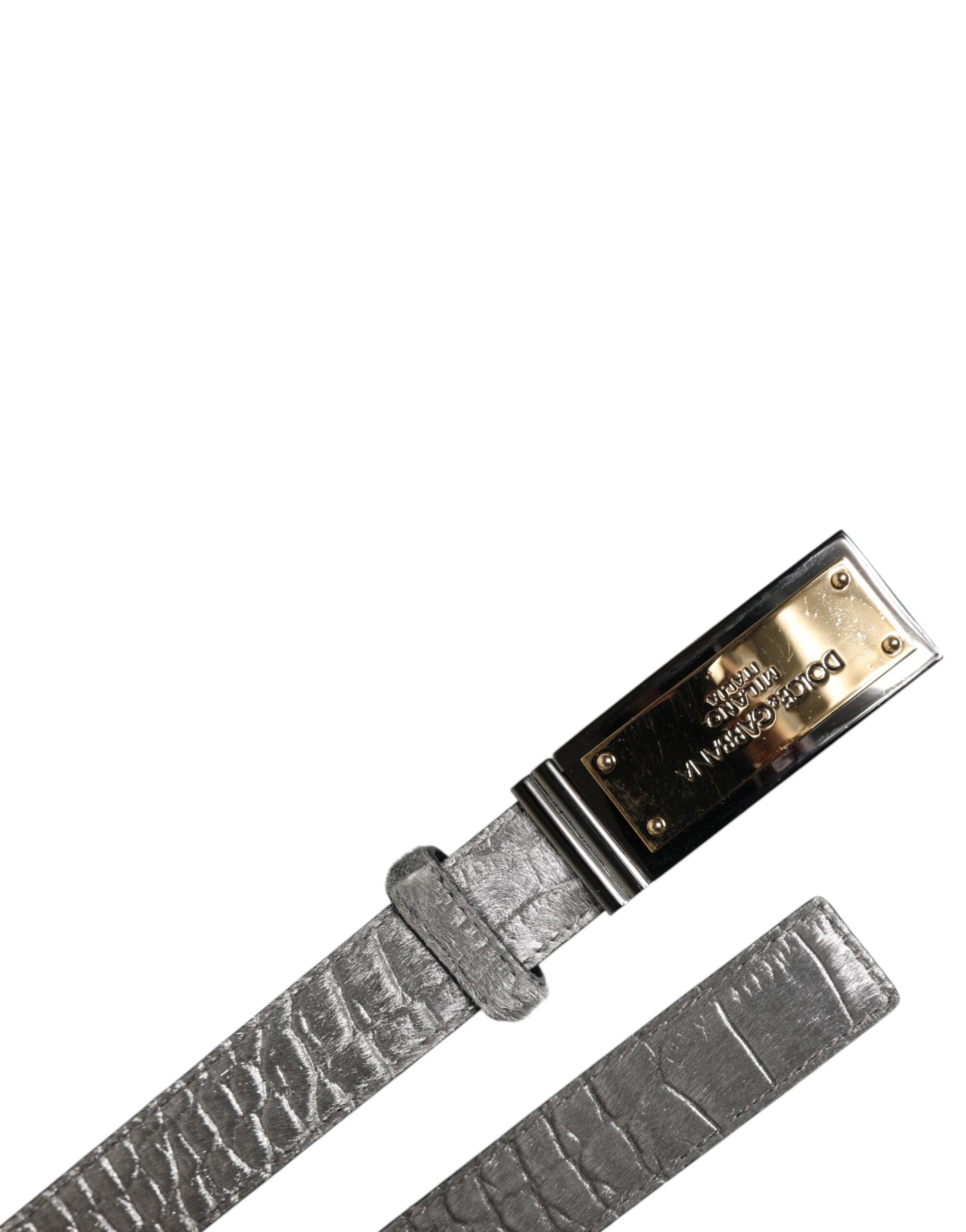 Dolce & Gabbana Silver Classic Gold Logo Plaque Buckle Men's Belt (Pre-Owned)