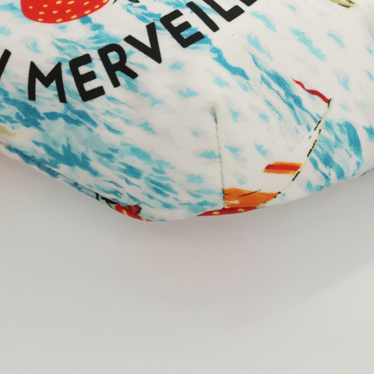 Gucci Merveilleux Belt Printed Nylon White Nylon Bag (Pre-Owned)