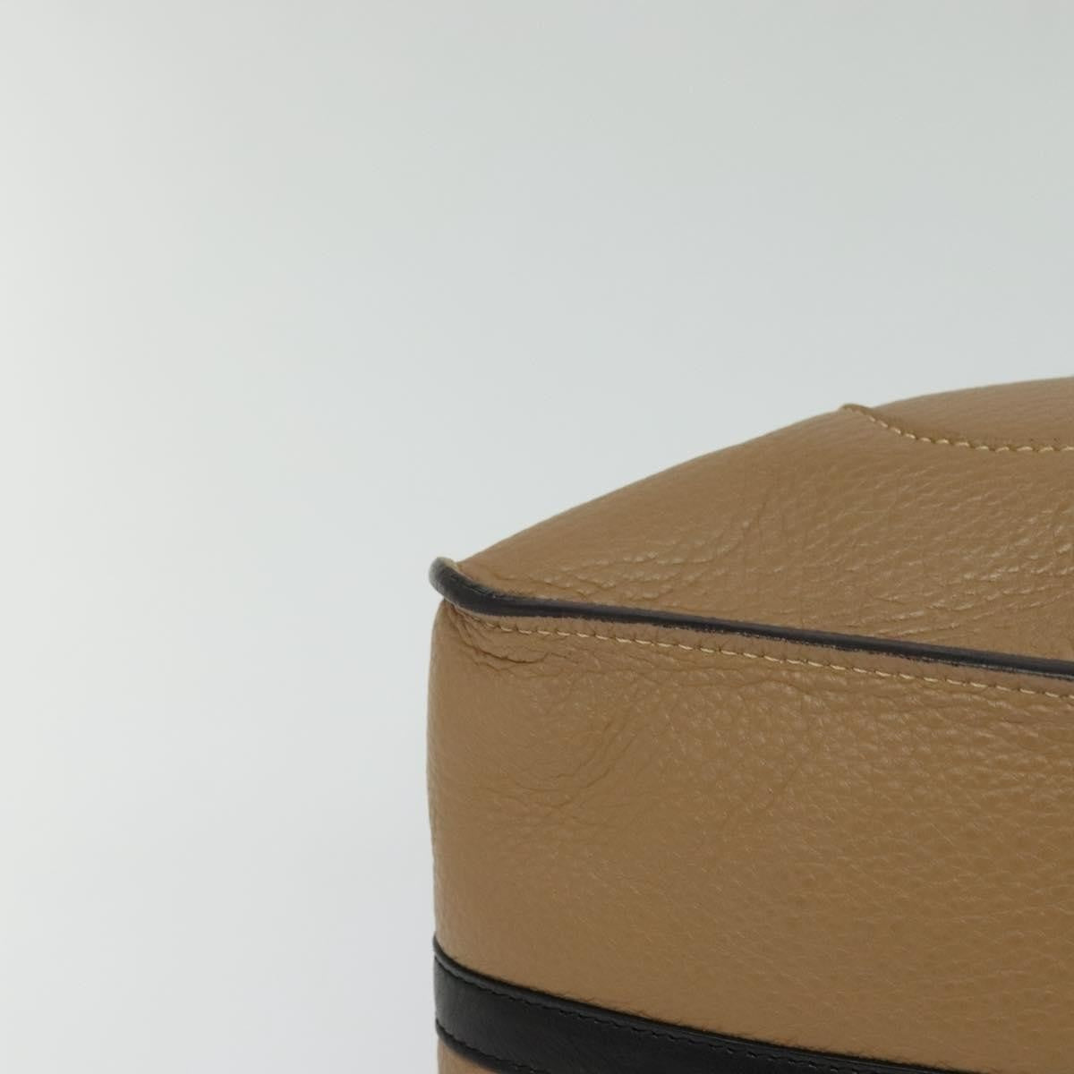 Chloe Hailey Leather Beige Leather Bag (Pre-Owned)