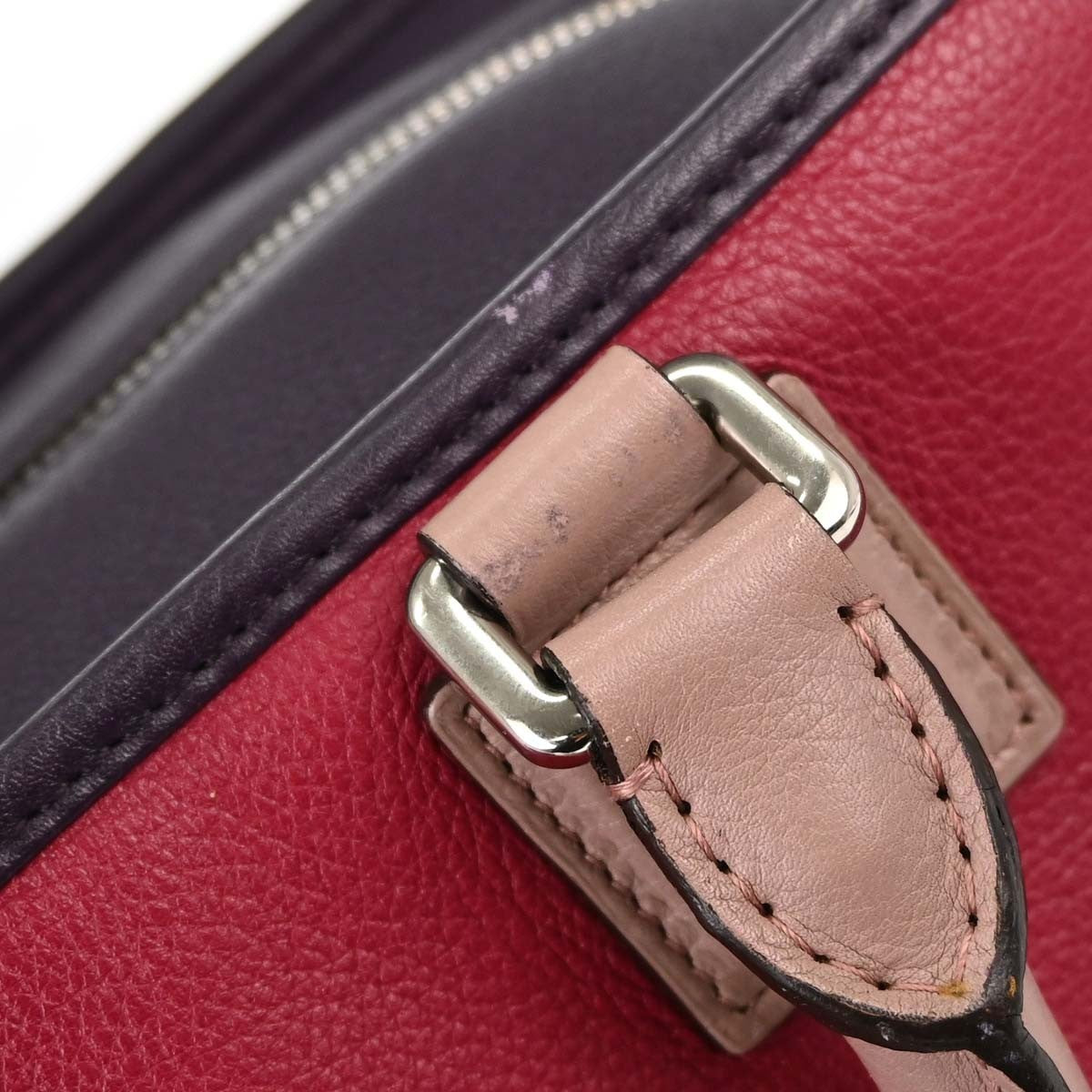 Loewe Amazona Leather Multicolour Leather Handbag (Pre-Owned)