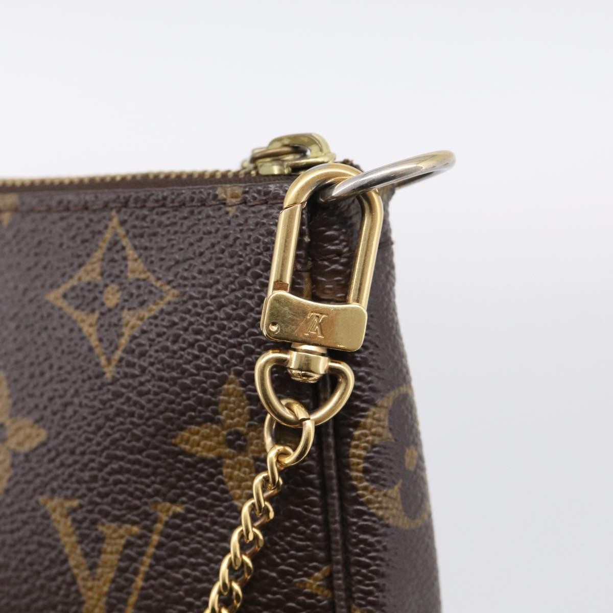 Louis Vuitton Pochette Accessoires Limited Edition Monogram Canvas Brown Canvas Clutche & Pouche Bag (Pre-Owned)