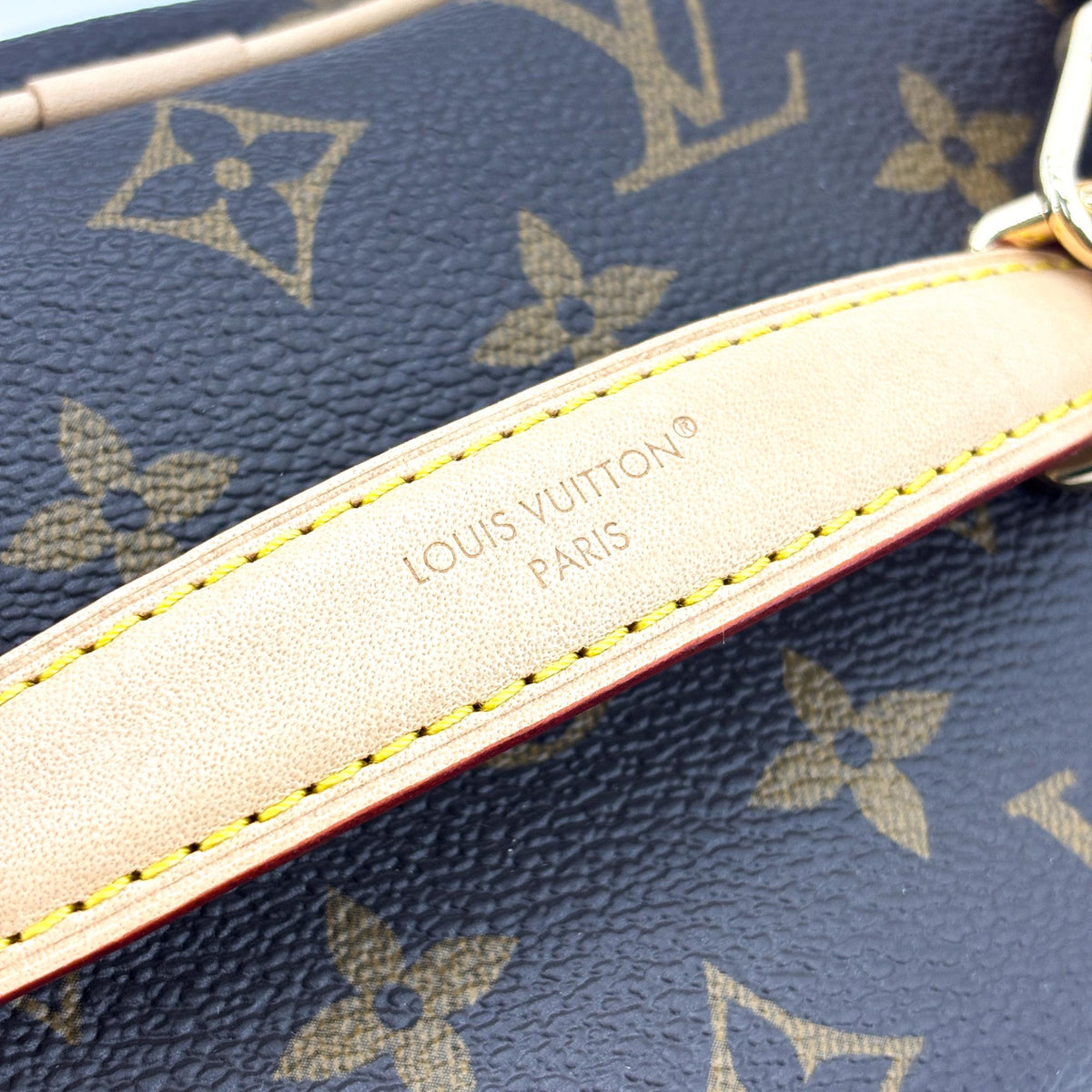Louis Vuitton Nice Vanity Case Monogram Canvas Brown Canvas Handbag (Pre-Owned)