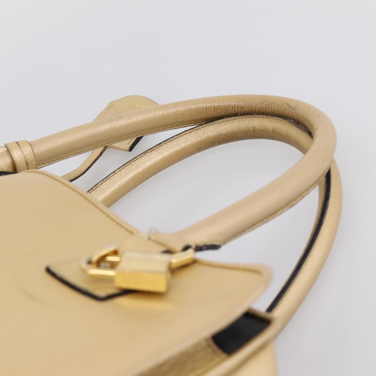 Loewe Amazona Leather Gold Leather Handbag (Pre-Owned)