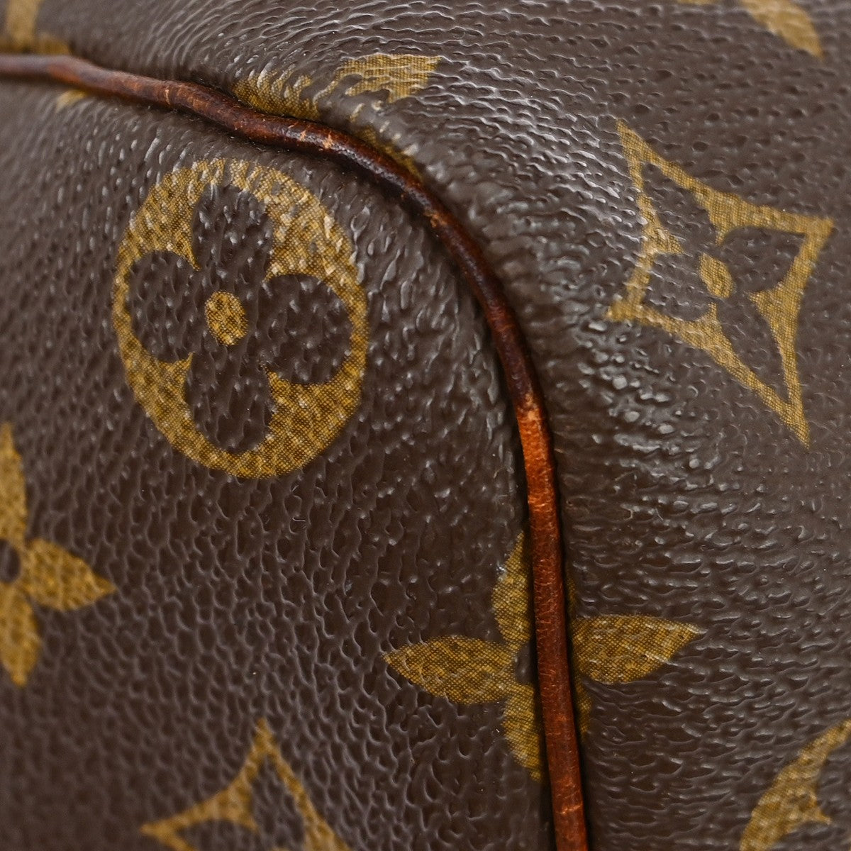 Louis Vuitton Speedy Monogram Canvas Brown Canvas Handbag (Pre-Owned)