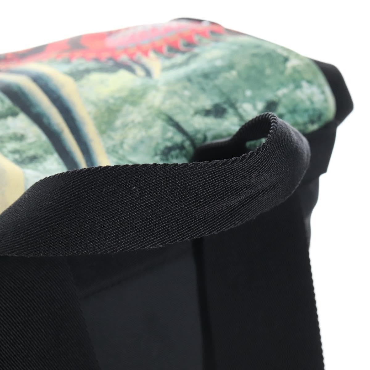 Valentino Garavani X Roger Dean Dragon Printed Nylon Green Nylon Backpack Bag (Pre-Owned)