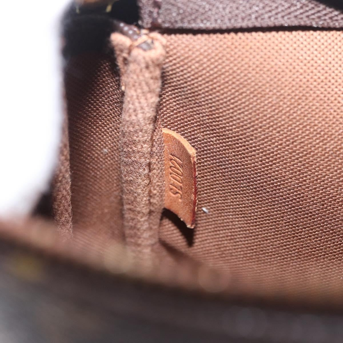 Louis Vuitton Pochette Accessoires Monogram Canvas Brown Canvas Clutche & Pouche Bag (Pre-Owned)