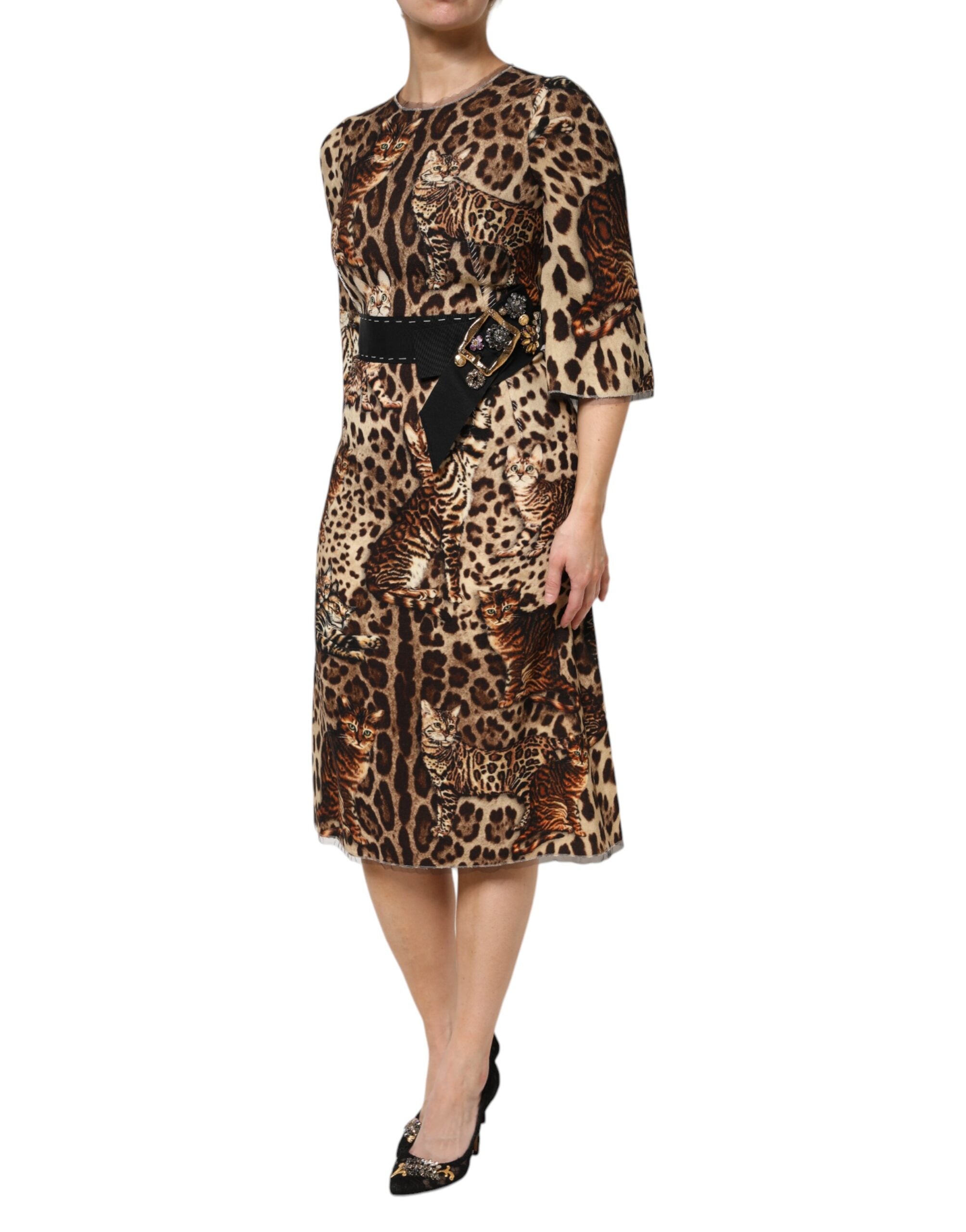 Dolce & Gabbana Brown Leopard Print Belted A-line Midi Women's Dress (Pre-Owned)