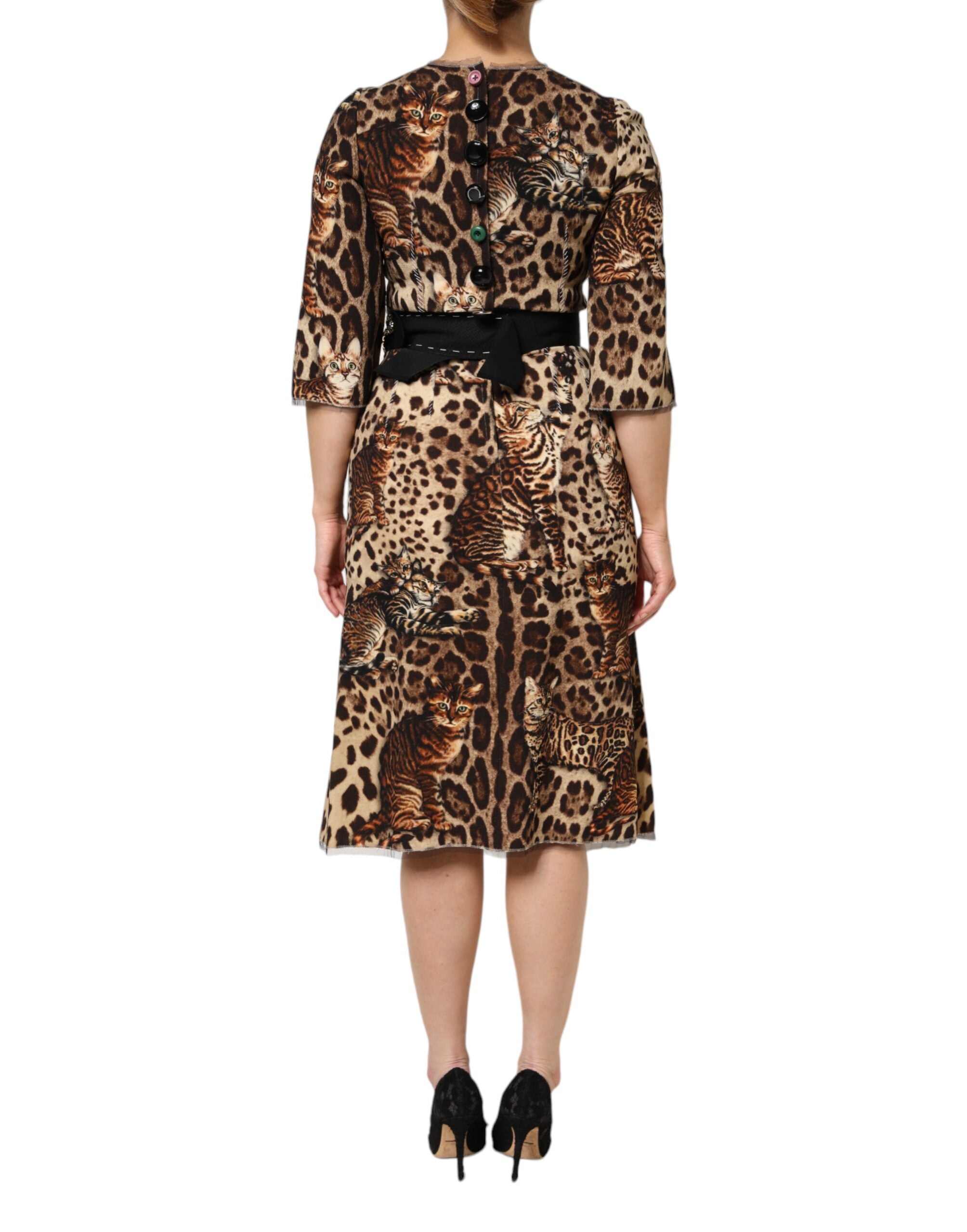 Dolce & Gabbana Brown Leopard Print Belted A-line Midi Women's Dress (Pre-Owned)