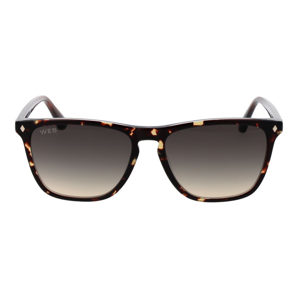 Web Brown Acetate Men's Sunglasses