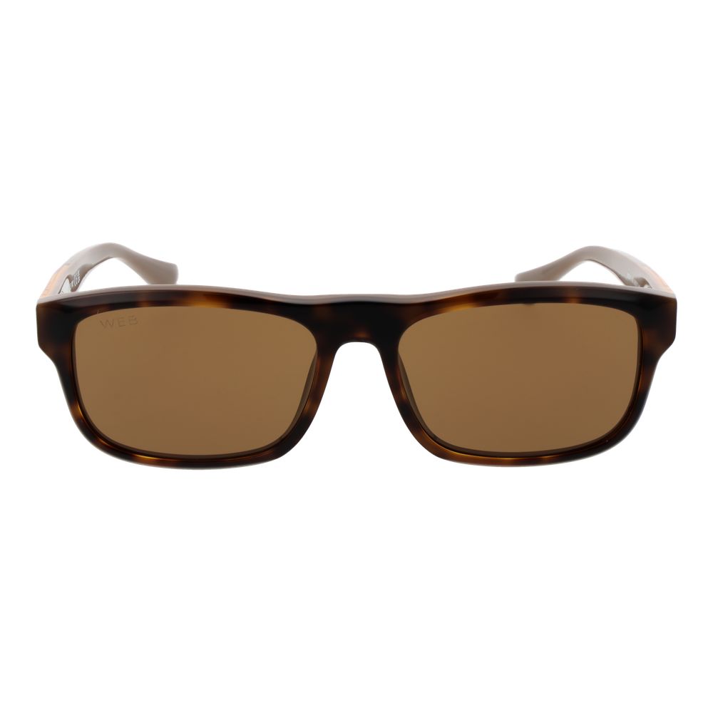 Web Brown Acetate Men's Sunglasses