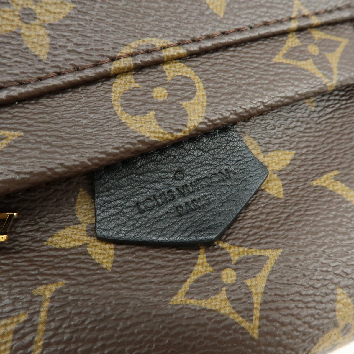 Louis Vuitton Palm Springs Monogram Canvas Brown Canvas Backpack Bag (Pre-Owned)