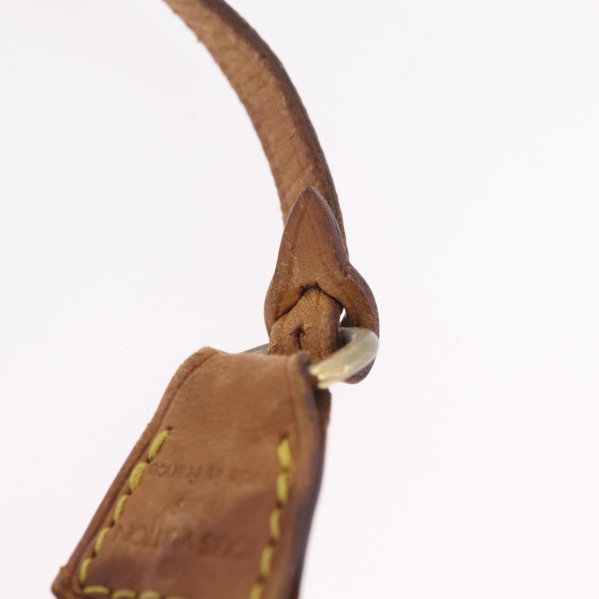 Louis Vuitton Pochette Accessoires Monogram Canvas Brown Canvas Clutche & Pouche Bag (Pre-Owned)