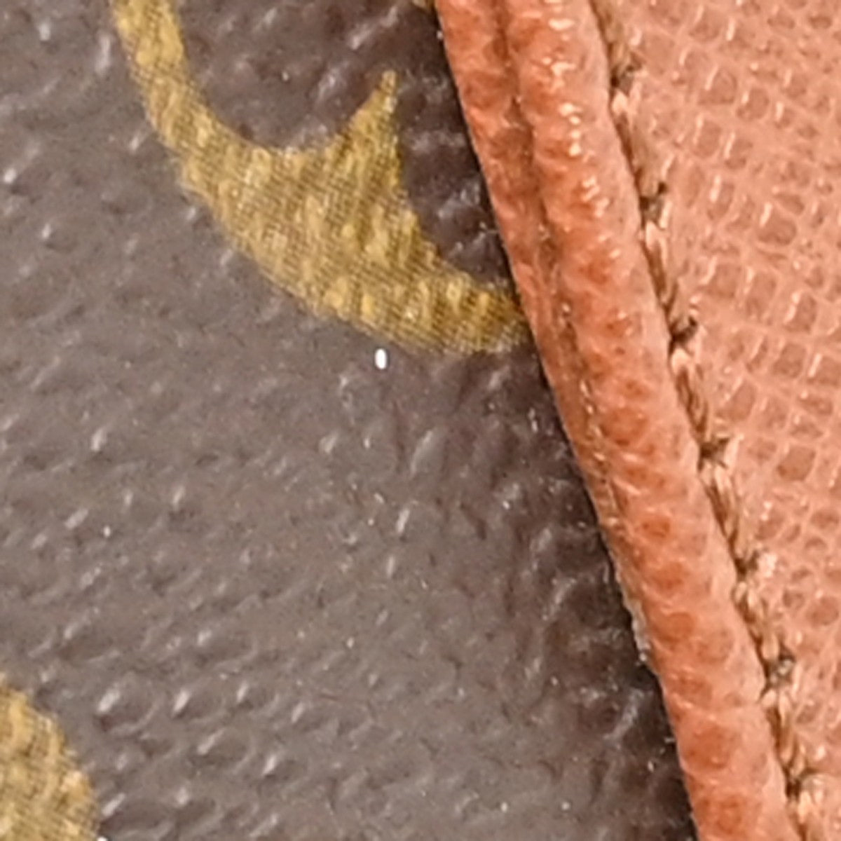 Louis Vuitton Papillon Monogram Canvas Brown Canvas Handbag (Pre-Owned)