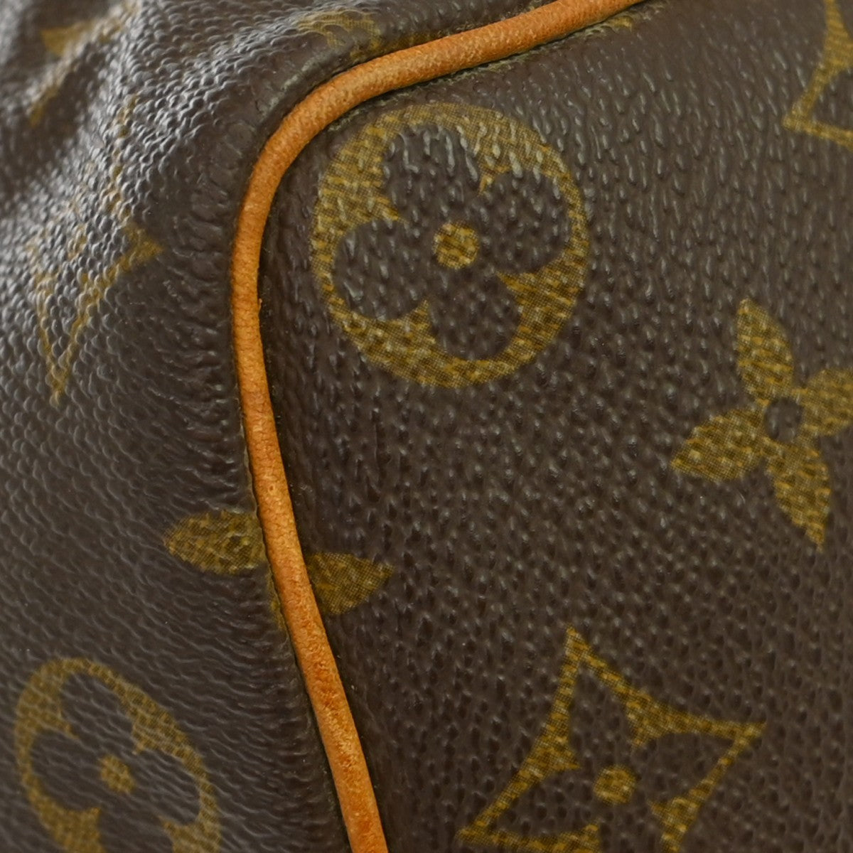 Louis Vuitton Speedy Monogram Canvas Brown Canvas Handbag (Pre-Owned)