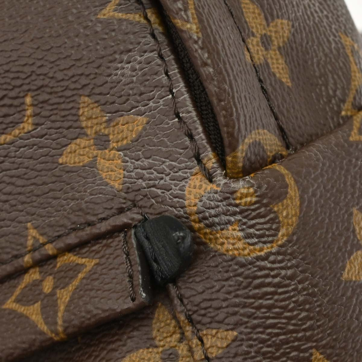 Louis Vuitton Palm Springs Monogram Brown Canvas Backpack Bag (Pre-Owned)