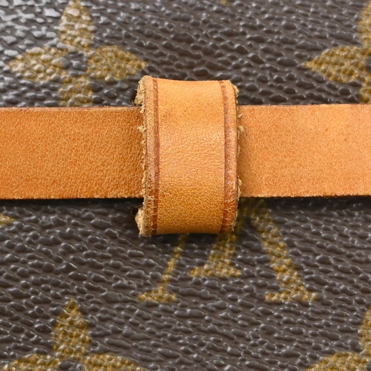 Louis Vuitton Florentine Waist Monogram Canvas Brown Canvas Clutche & Pouche Bag (Pre-Owned)