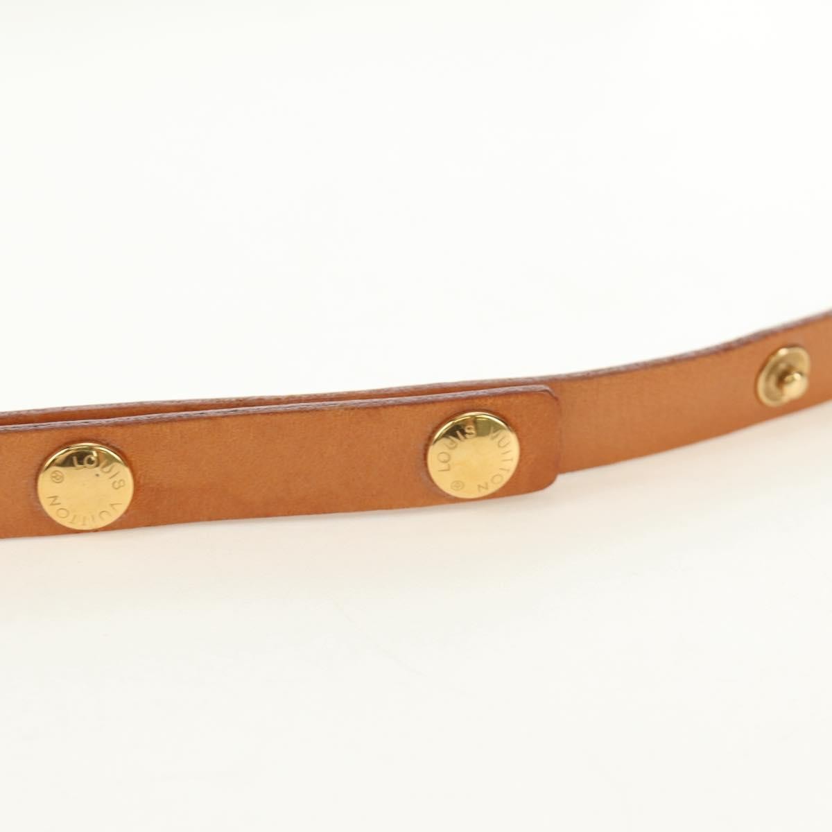 Louis Vuitton Florentine Waist Monogram Canvas Brown Canvas Clutche & Pouche Bag (Pre-Owned)