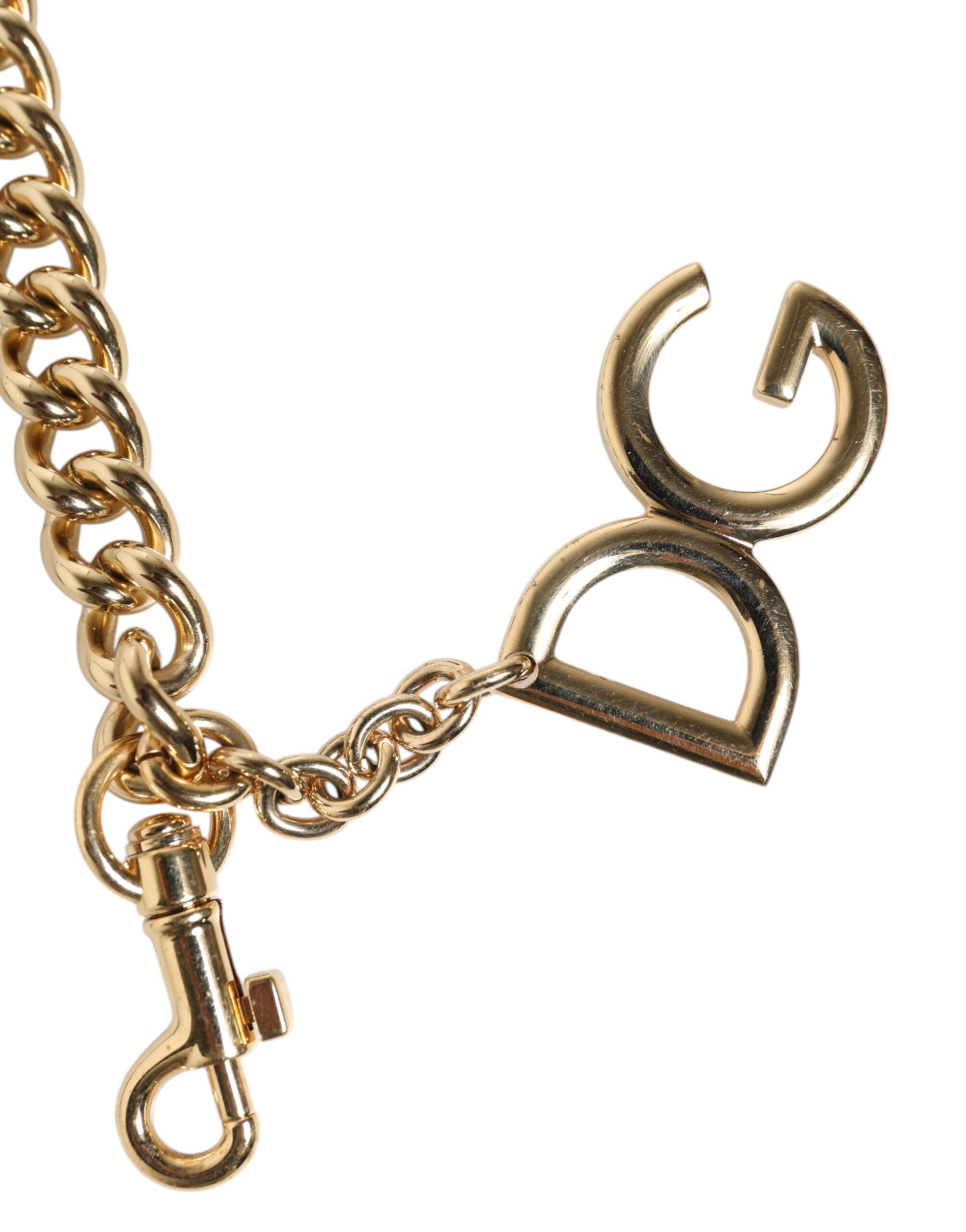 Dolce & Gabbana Brown Leopard Gold Brass Chain Accessory Shoulder Women's Strap