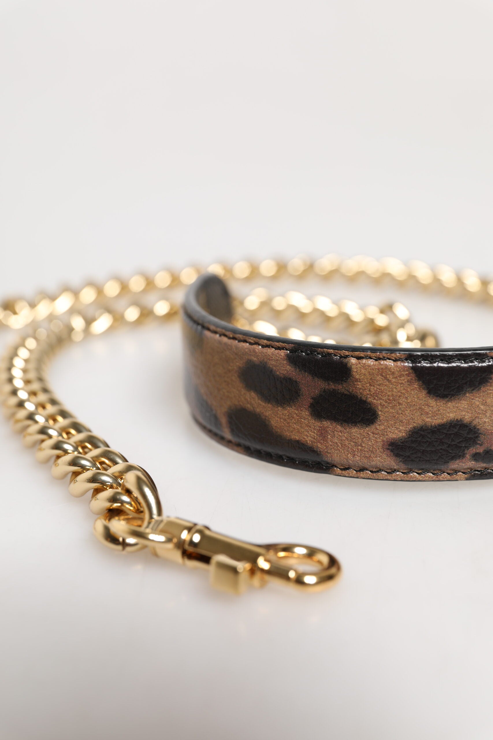 Dolce & Gabbana Brown Leopard Gold Brass Chain Accessory Shoulder Women's Strap