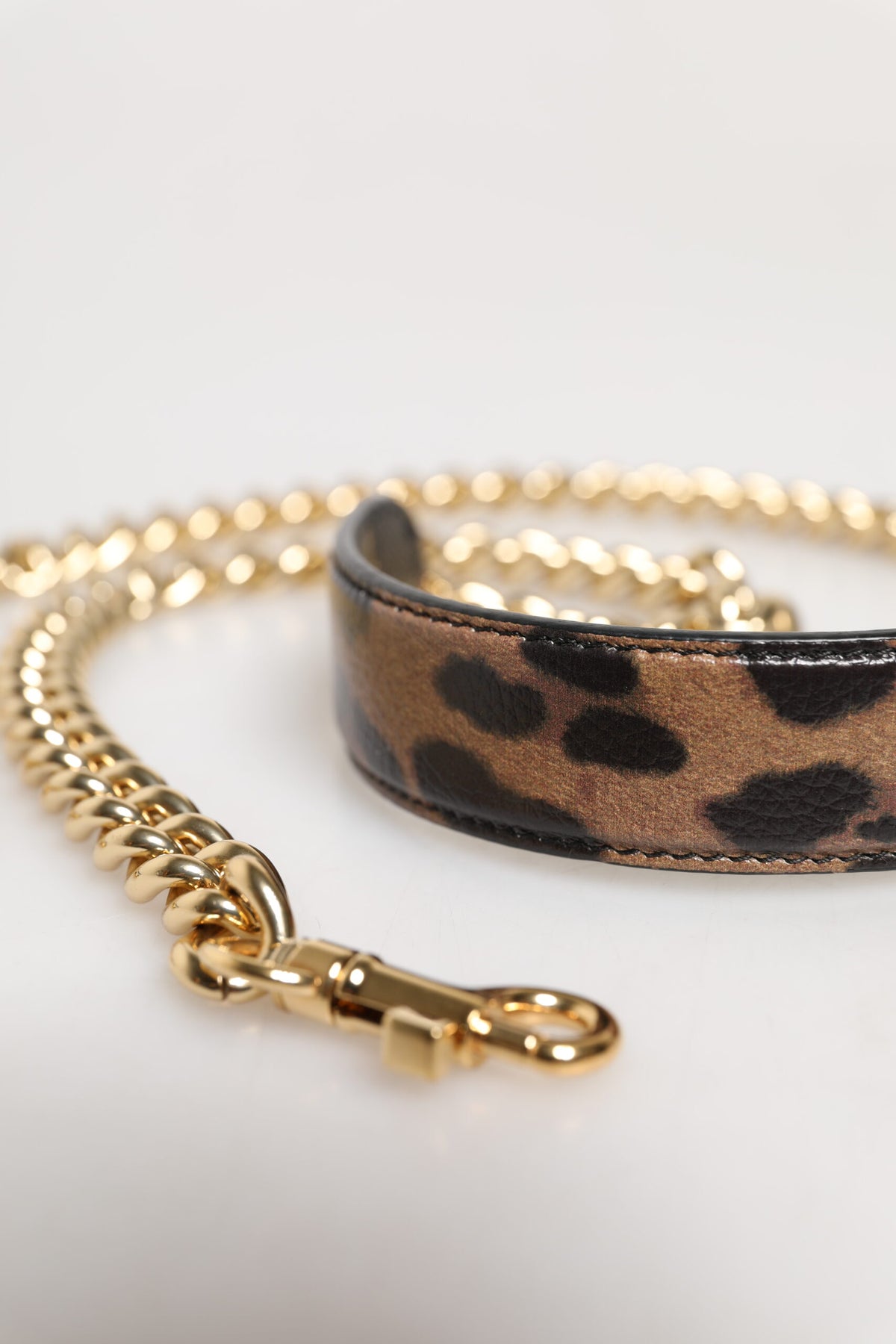 Dolce & Gabbana Brown Leopard Gold Brass Chain Accessory Shoulder Women's Strap