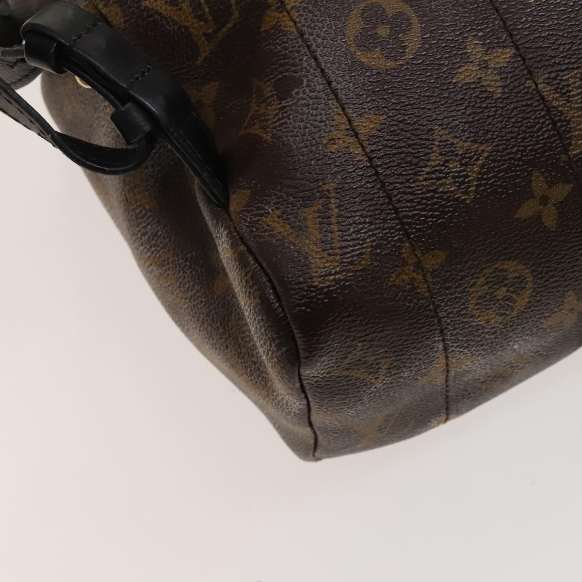 Louis Vuitton Palm Springs Monogram Canvas Brown Canvas Backpack Bag (Pre-Owned)