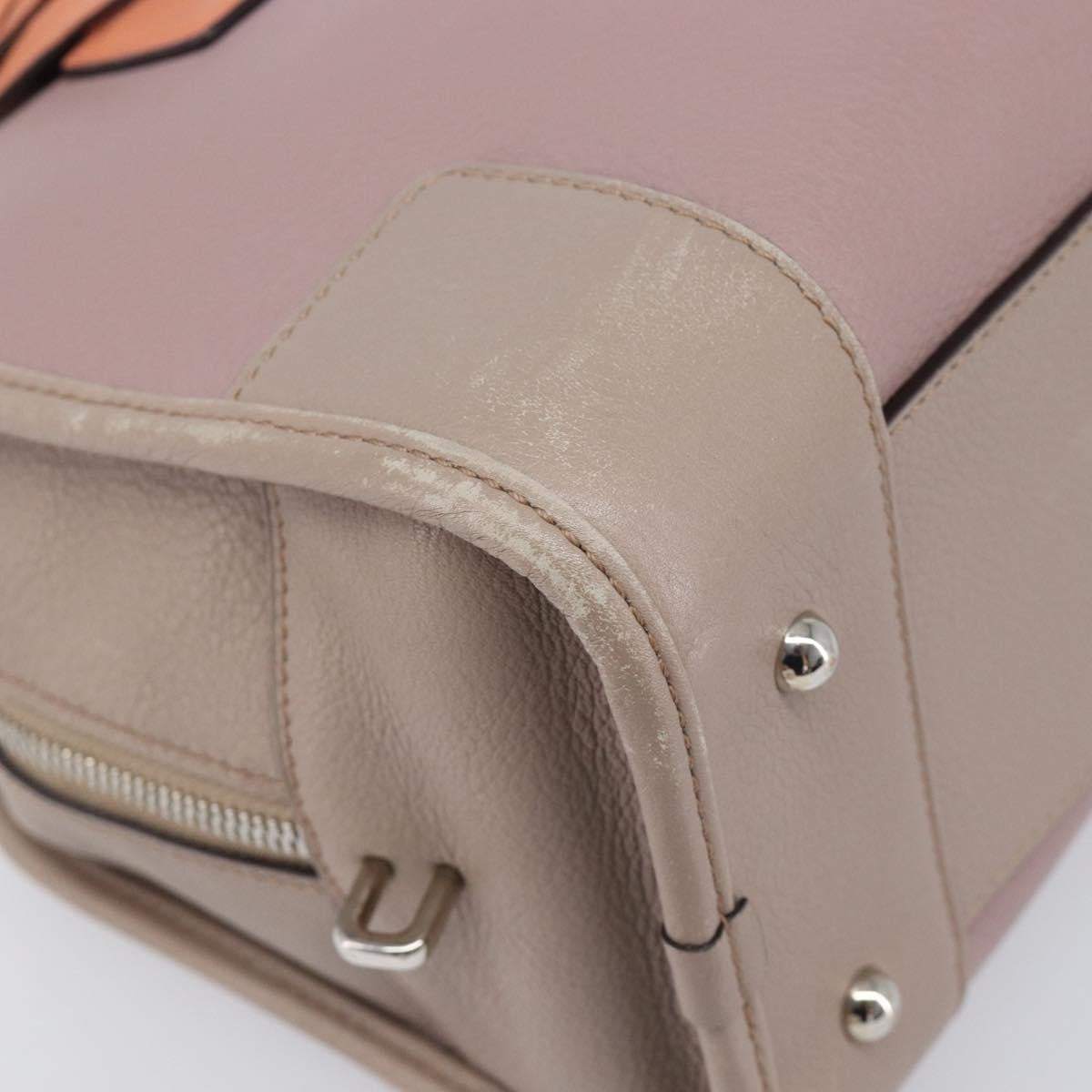 Loewe Amazona Leather Pink Leather Handbag (Pre-Owned)