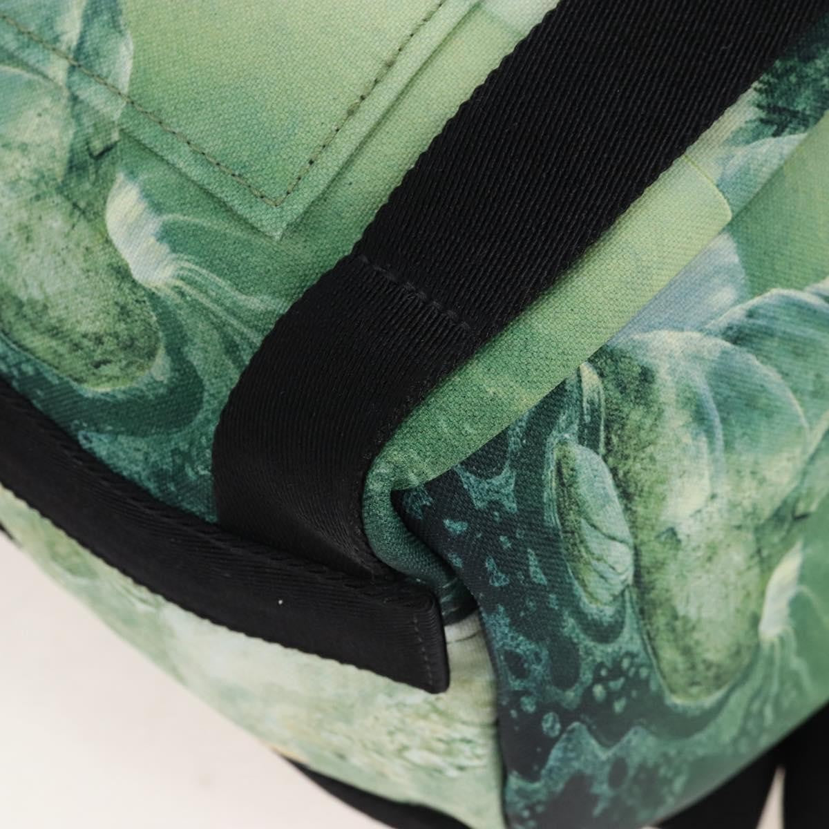Valentino Garavani X Roger Dean Dragon Printed Nylon Green Nylon Backpack Bag (Pre-Owned)