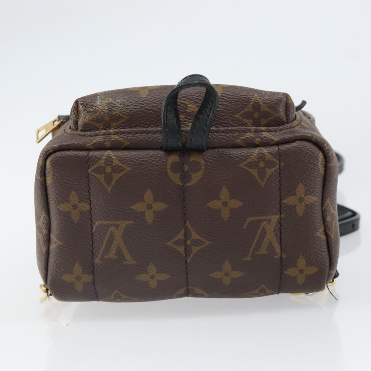 Louis Vuitton Palm Springs Monogram Canvas Brown Canvas Backpack Bag (Pre-Owned)