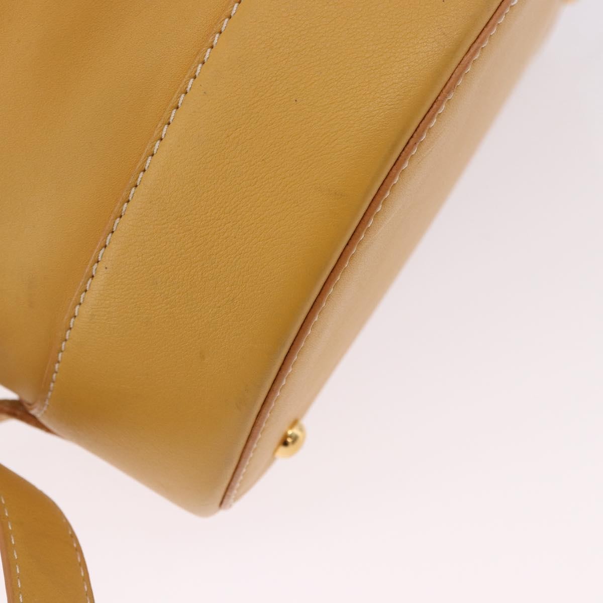 Loewe Anton Leather Yellow Leather Backpack Bag (Pre-Owned)