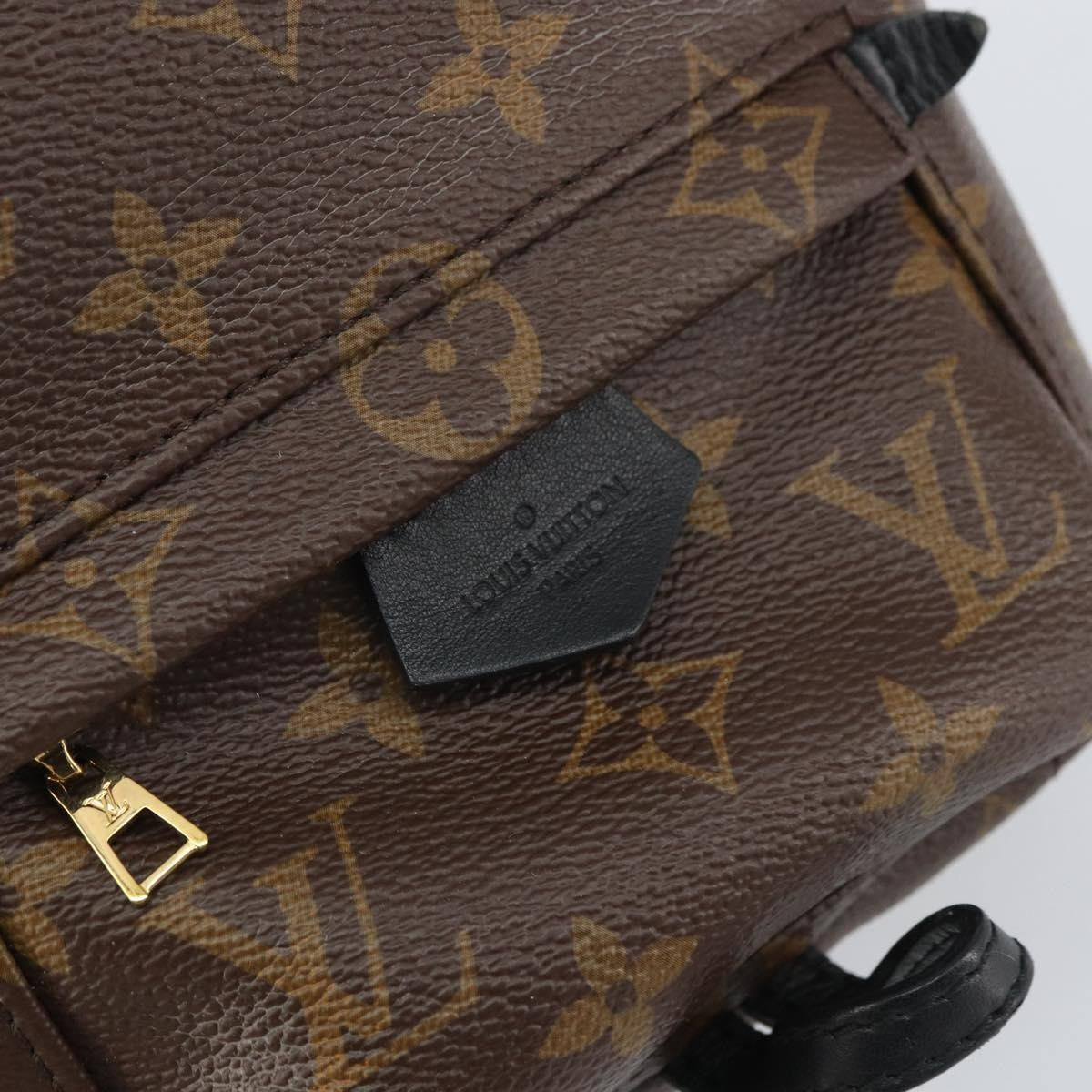 Louis Vuitton Palm Springs Monogram Canvas Brown Canvas Backpack Bag (Pre-Owned)