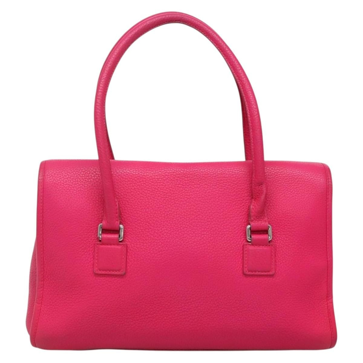 Loewe Alamo Leather Pink Leather Handbag (Pre-Owned)